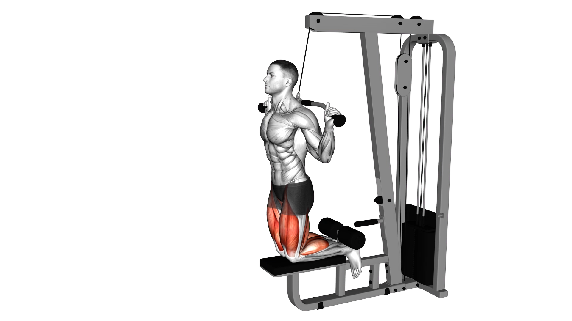 Cable Assisted Inverse Leg Curl exercise thumbnail