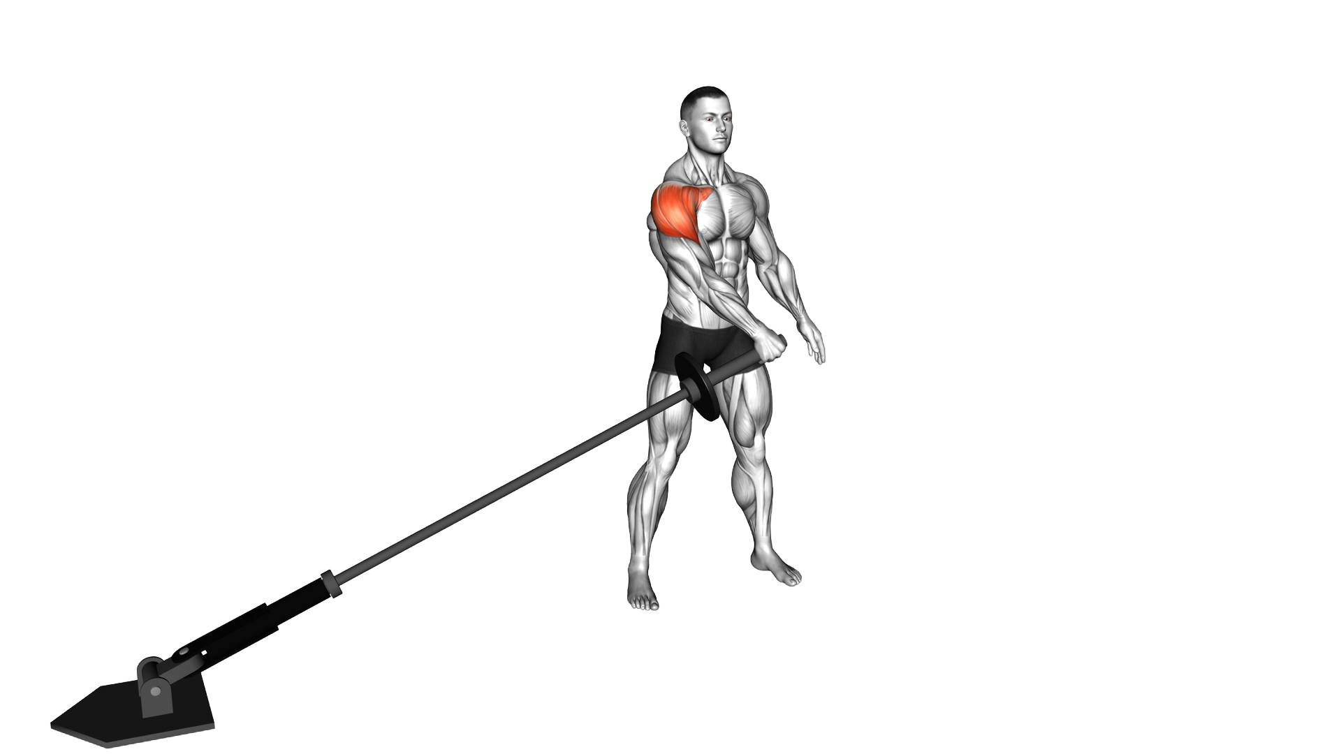 Landmine Lateral Raise exercise demonstration