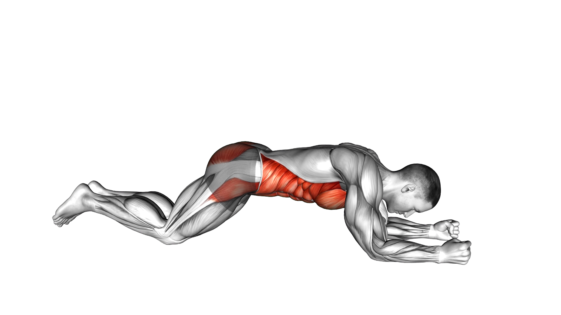 Kneeling plank exercise demonstration