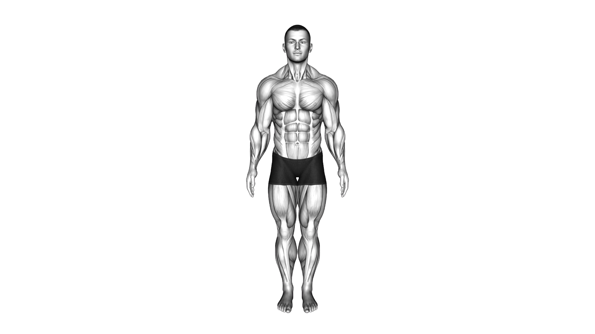 Bodybuilding Pose exercise demonstration