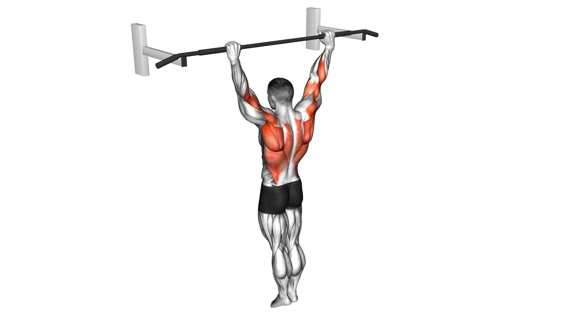 Archer Pull up exercise thumbnail