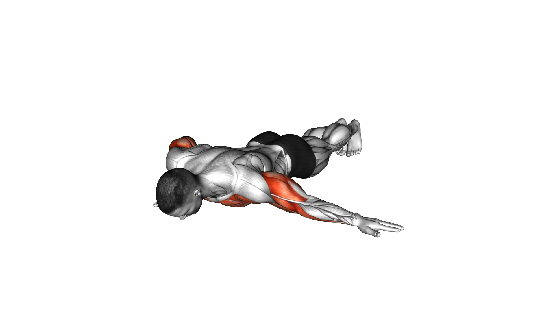 Archer Push up exercise demonstration