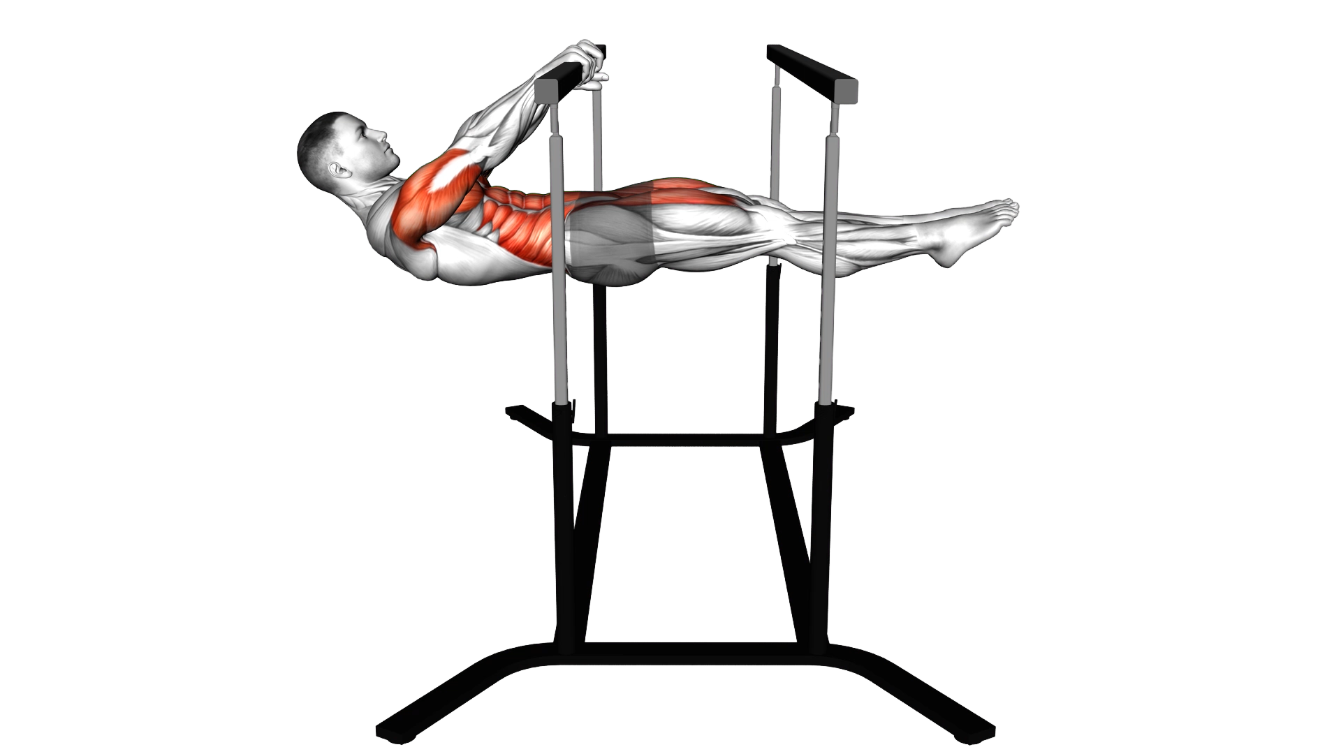 Front Lever exercise demonstration