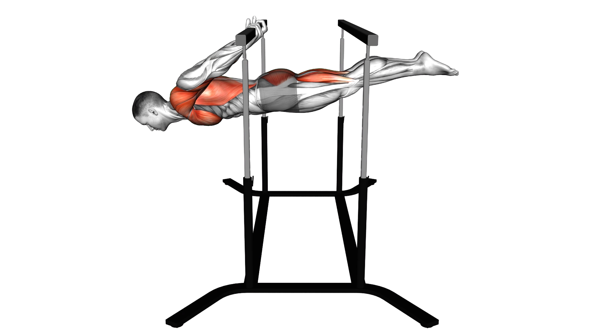 Back lever exercise demonstration