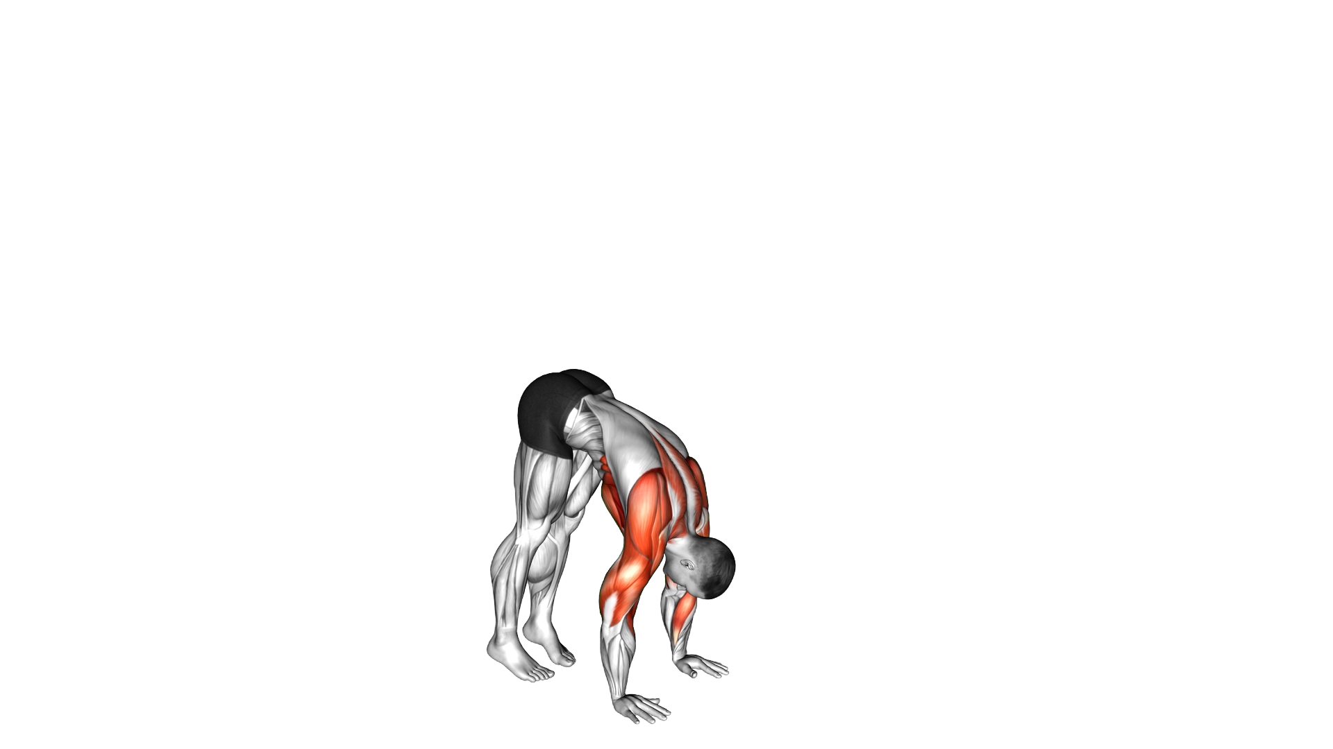 Handstand exercise demonstration