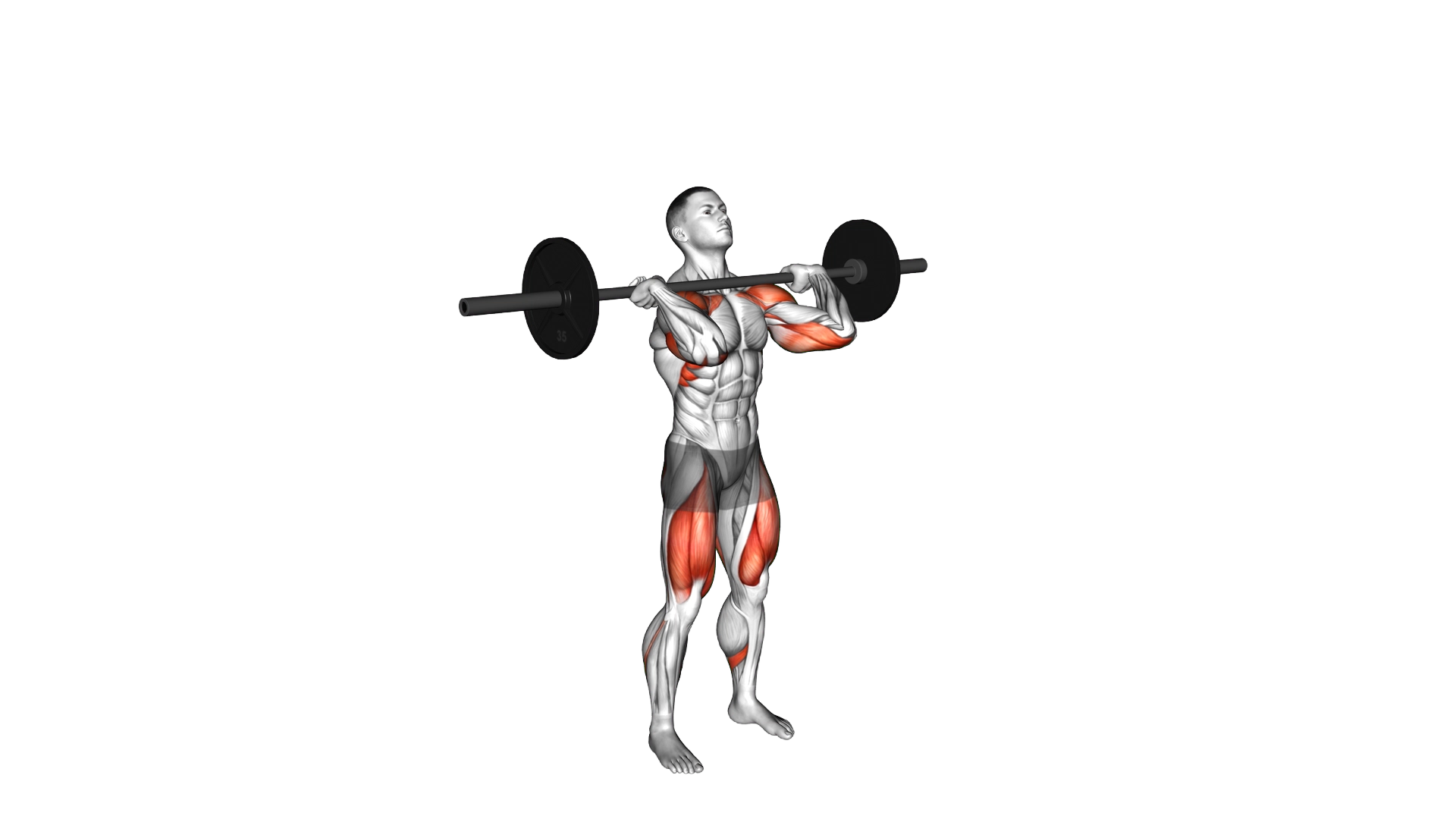 Barbell Thruster exercise demonstration