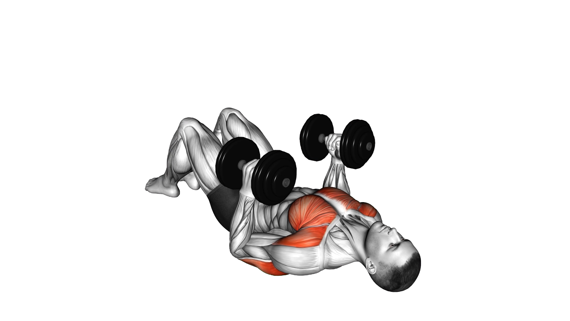 Dumbbell Lying on Floor Hammer Press exercise demonstration