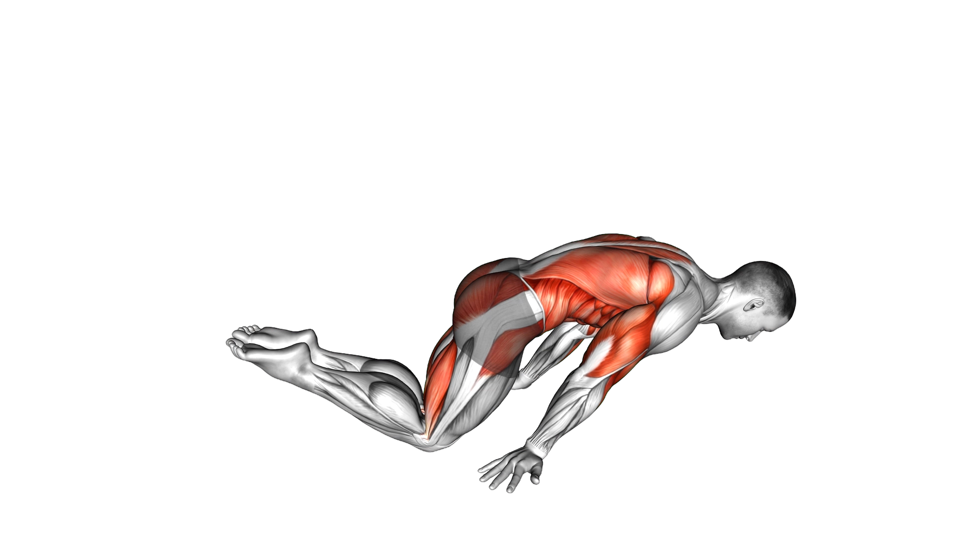 Full Planche Push Up exercise demonstration