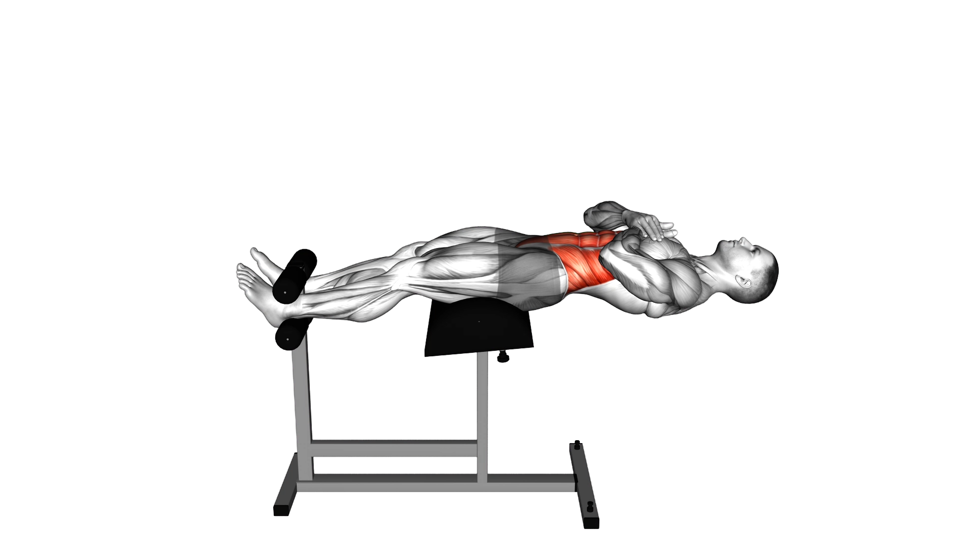 Roman Chair Sit Up exercise demonstration
