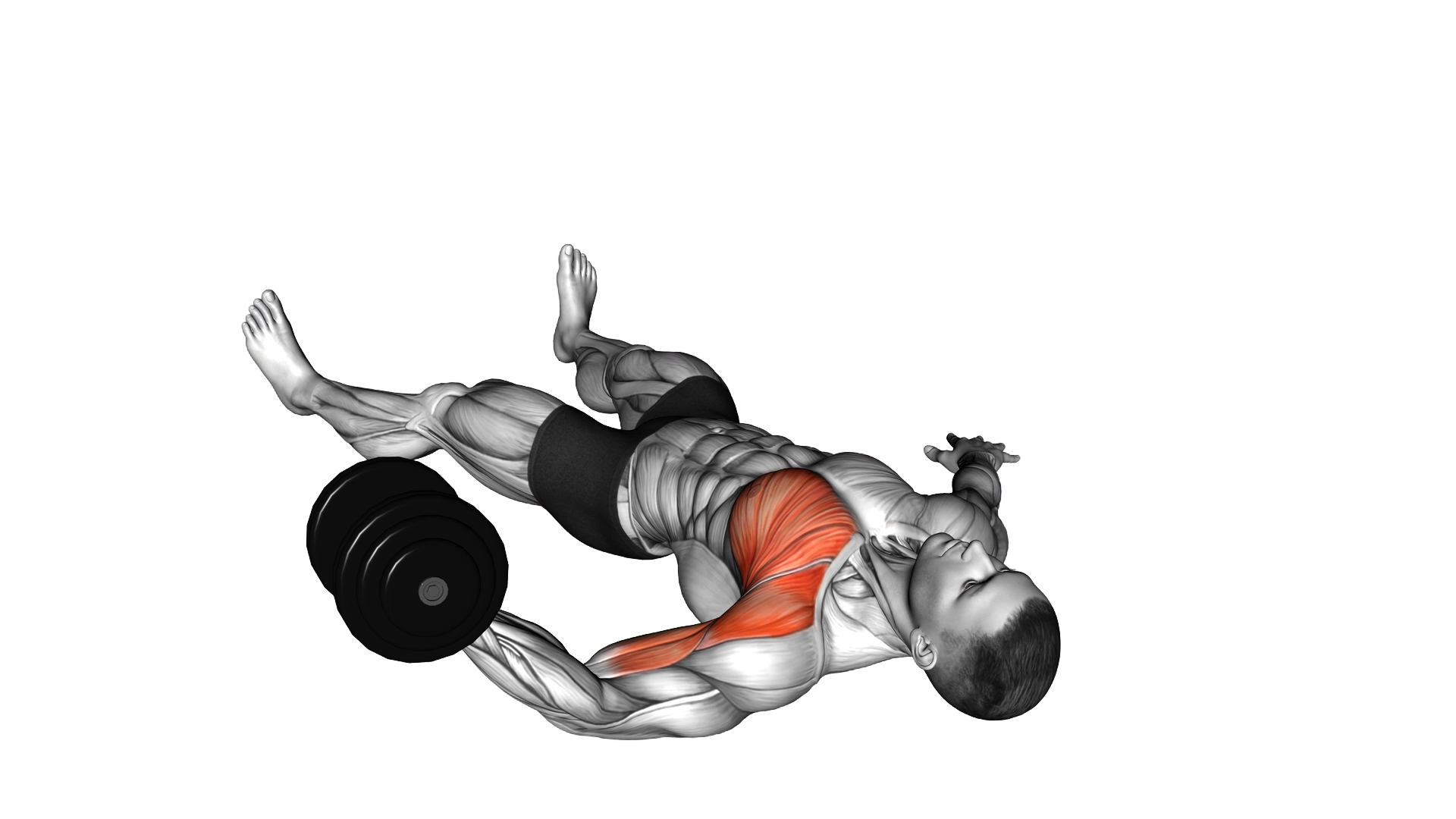 Dumbbell One Arm Floor Fly exercise demonstration