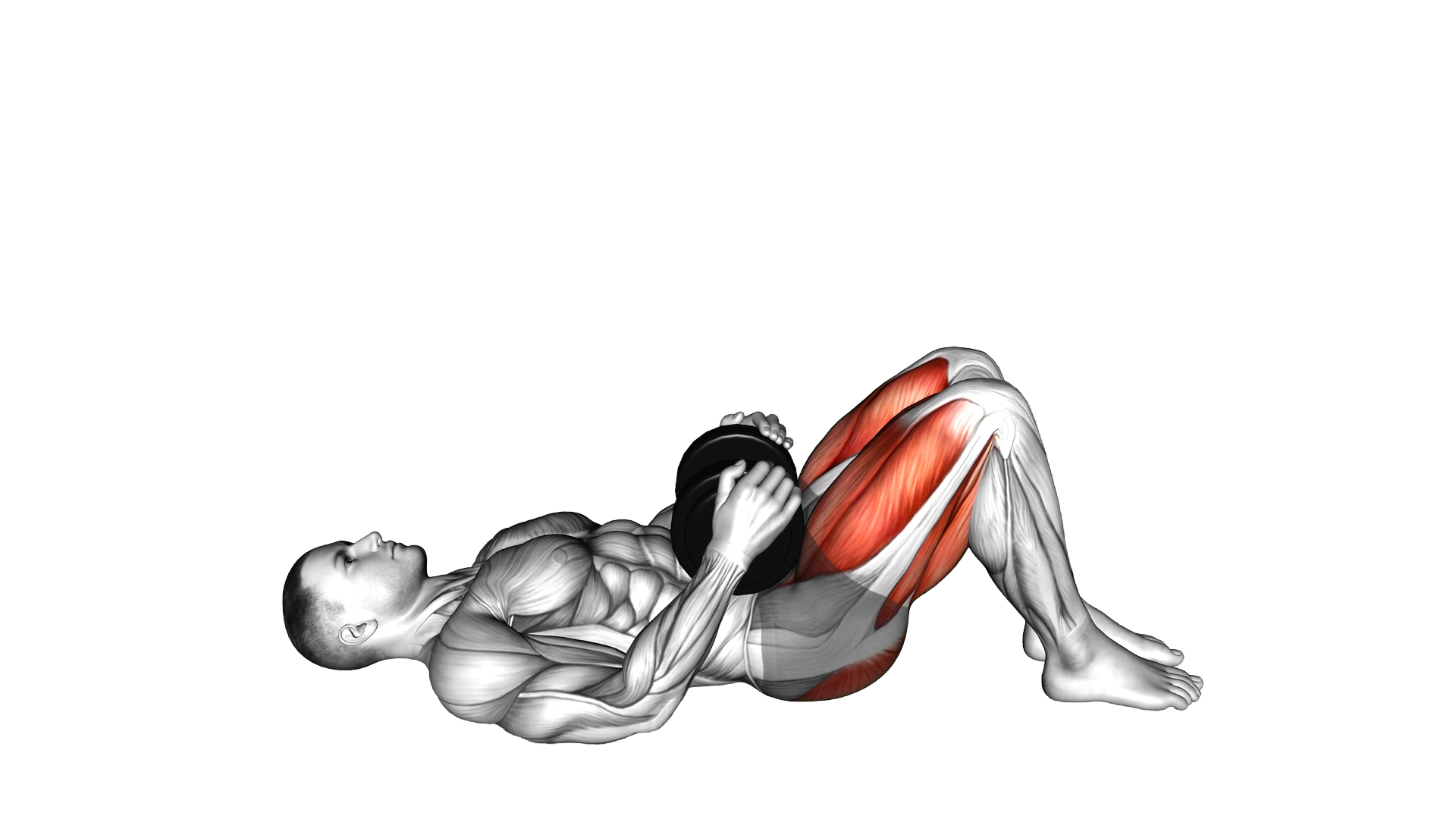 Dumbbell Glute Bridge exercise thumbnail