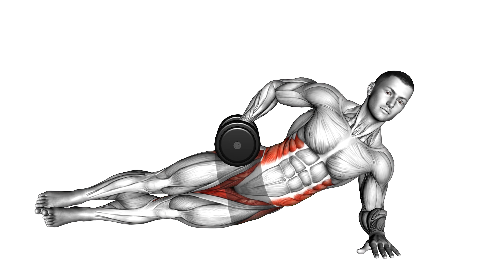 Dumbbell Side Bridge exercise demonstration