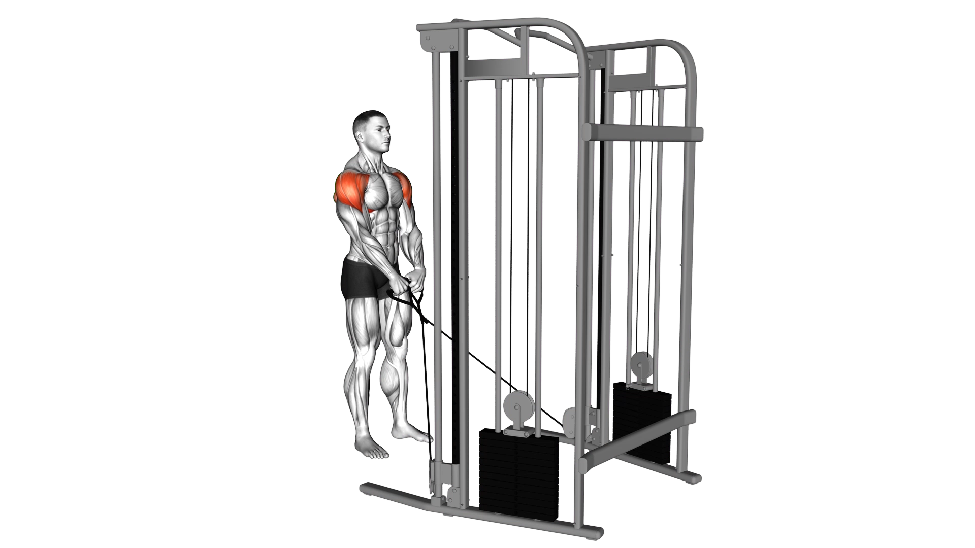 Cable Y raise exercise demonstration