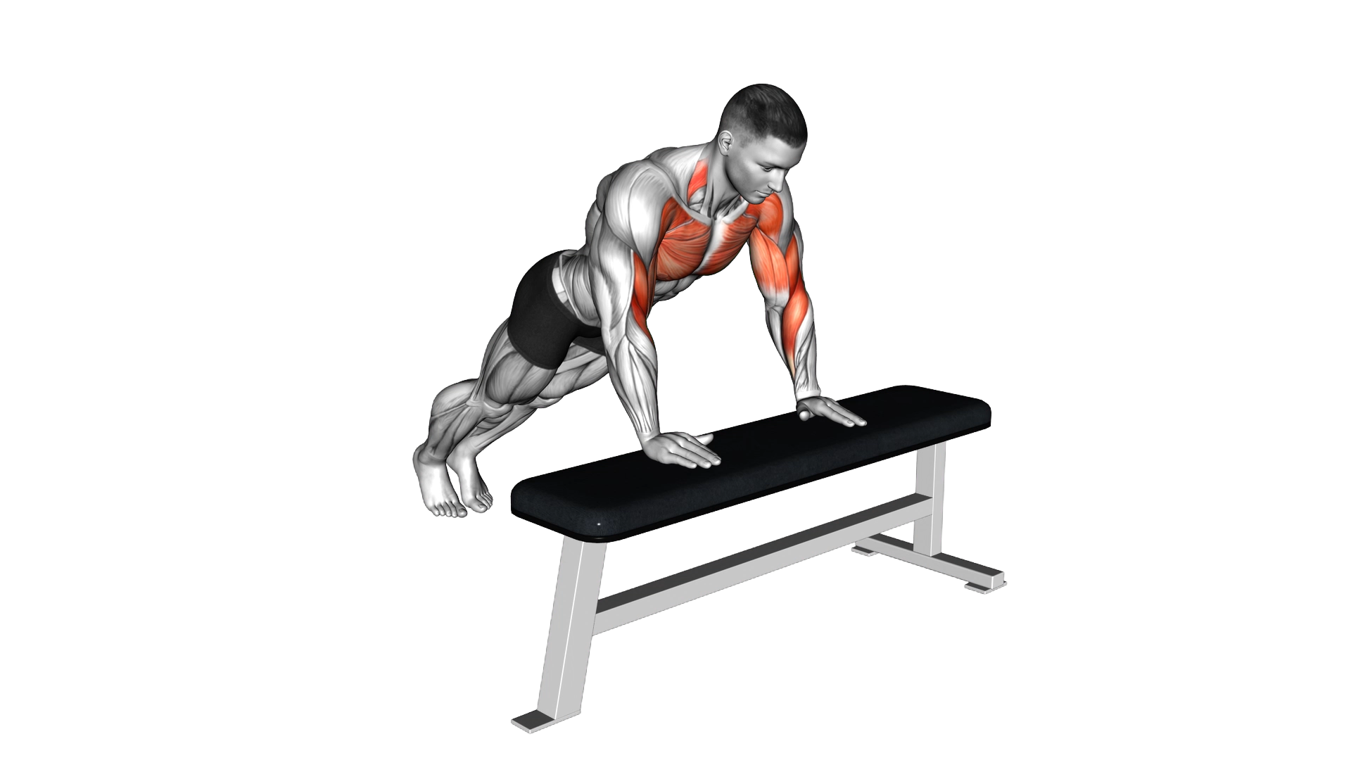 Incline Shoulder Tap exercise demonstration