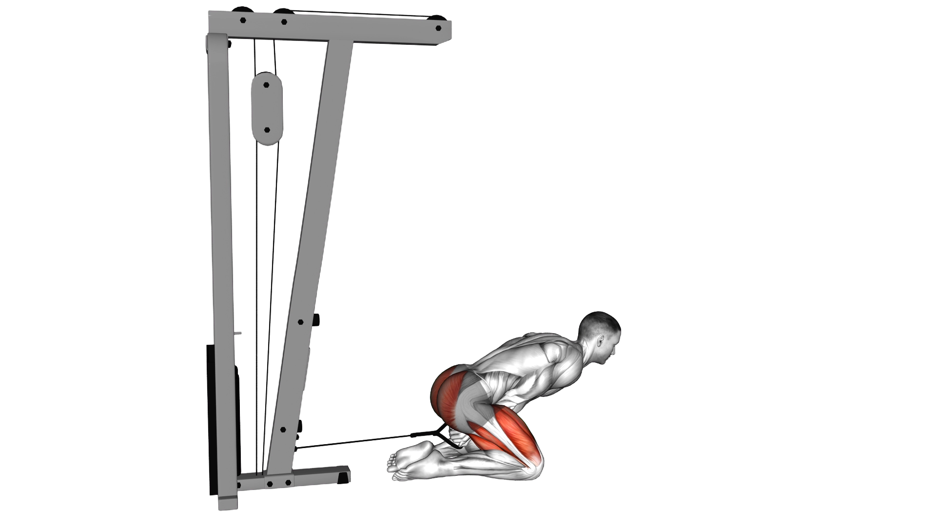 Cable Kneeling Pull Through exercise demonstration