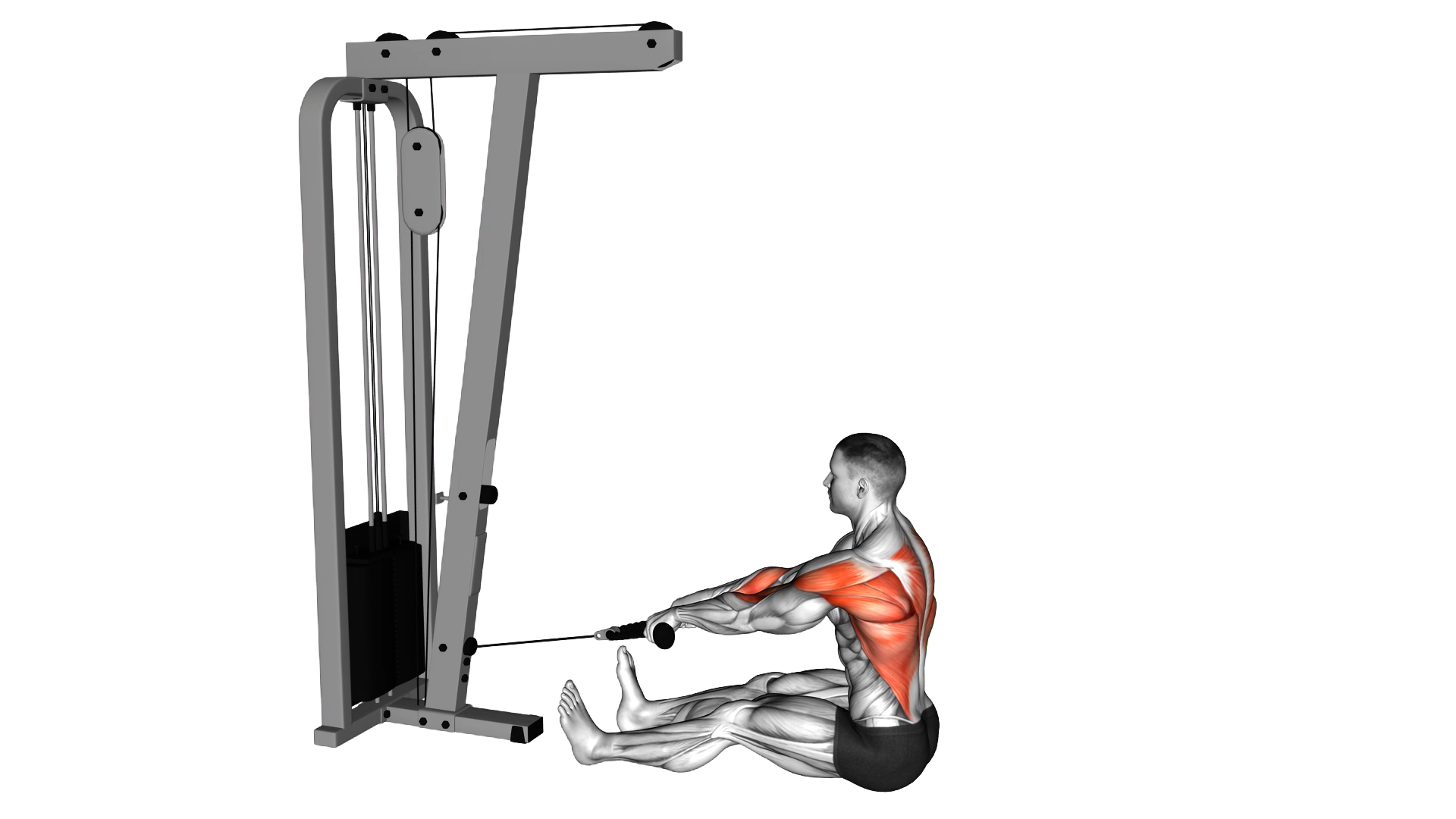 Cable Seated on Floor Row with Rope exercise demonstration
