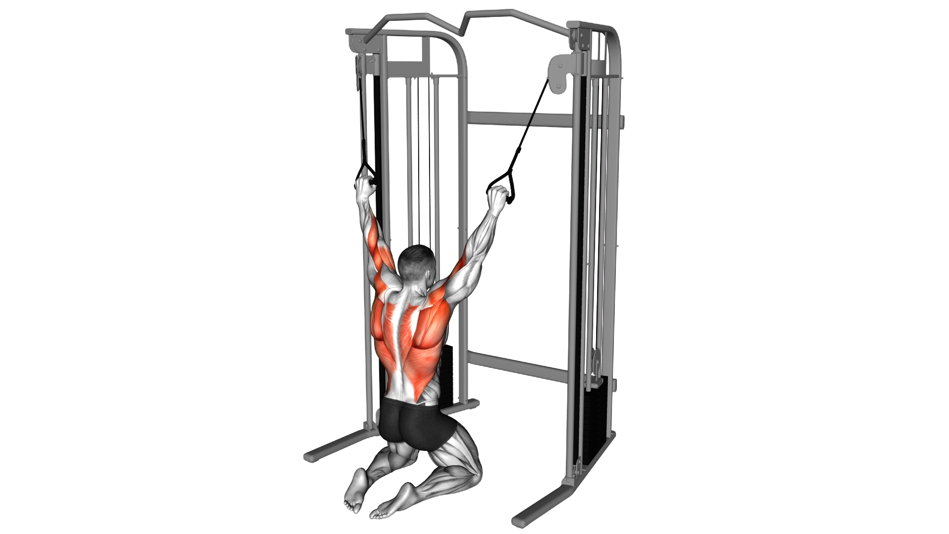 Cable Parallel Grip Lat Pulldown on Floor exercise demonstration