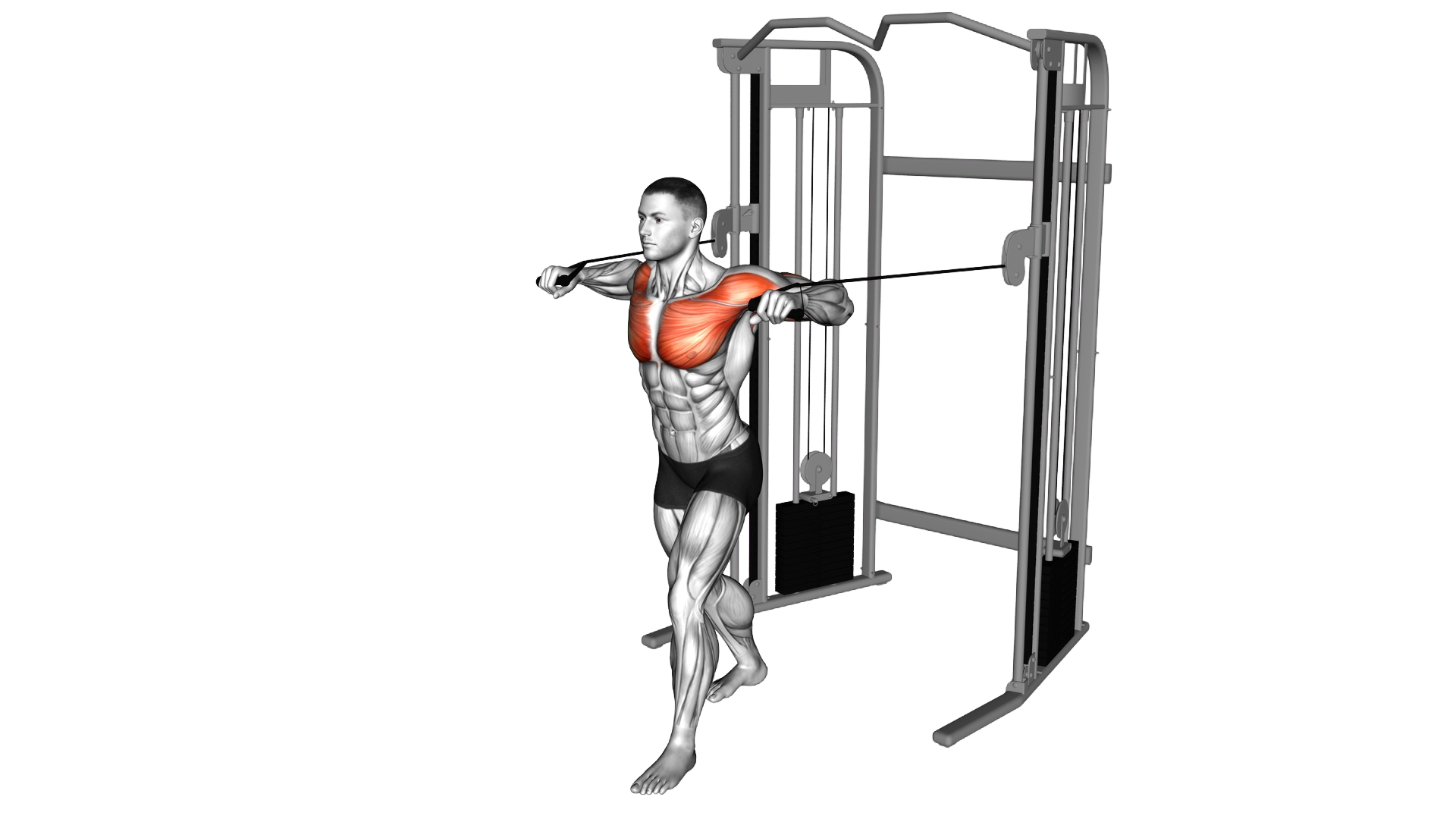 Cable Standing Chest Press exercise demonstration