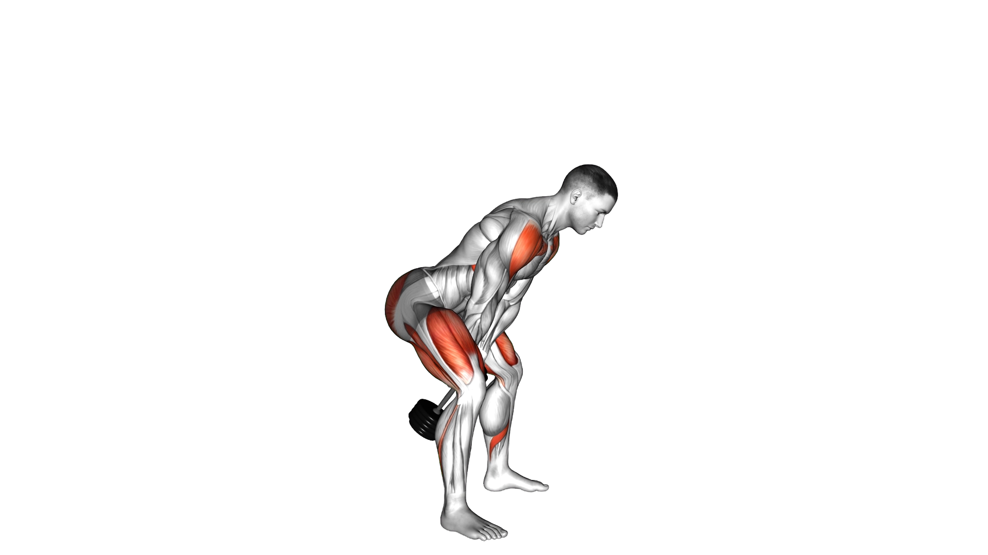 Dumbbell Swing exercise demonstration