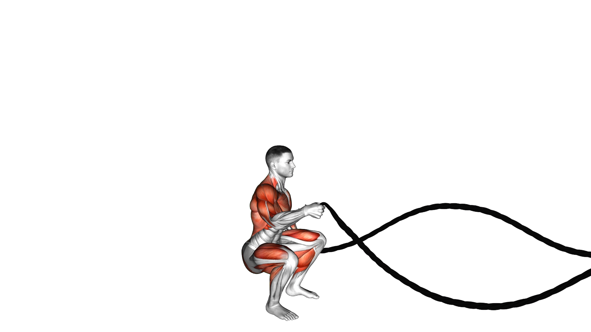 Battling Ropes Alternate Arms Jump Squat exercise demonstration