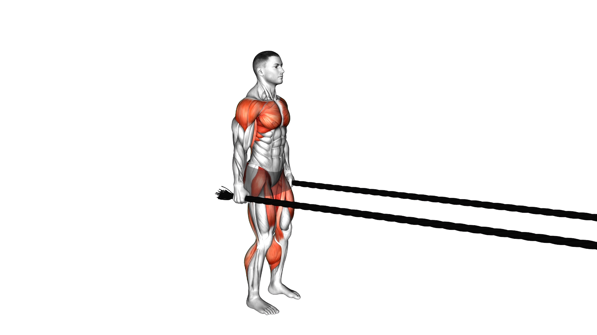 Battling Ropes Jumping Jack exercise demonstration