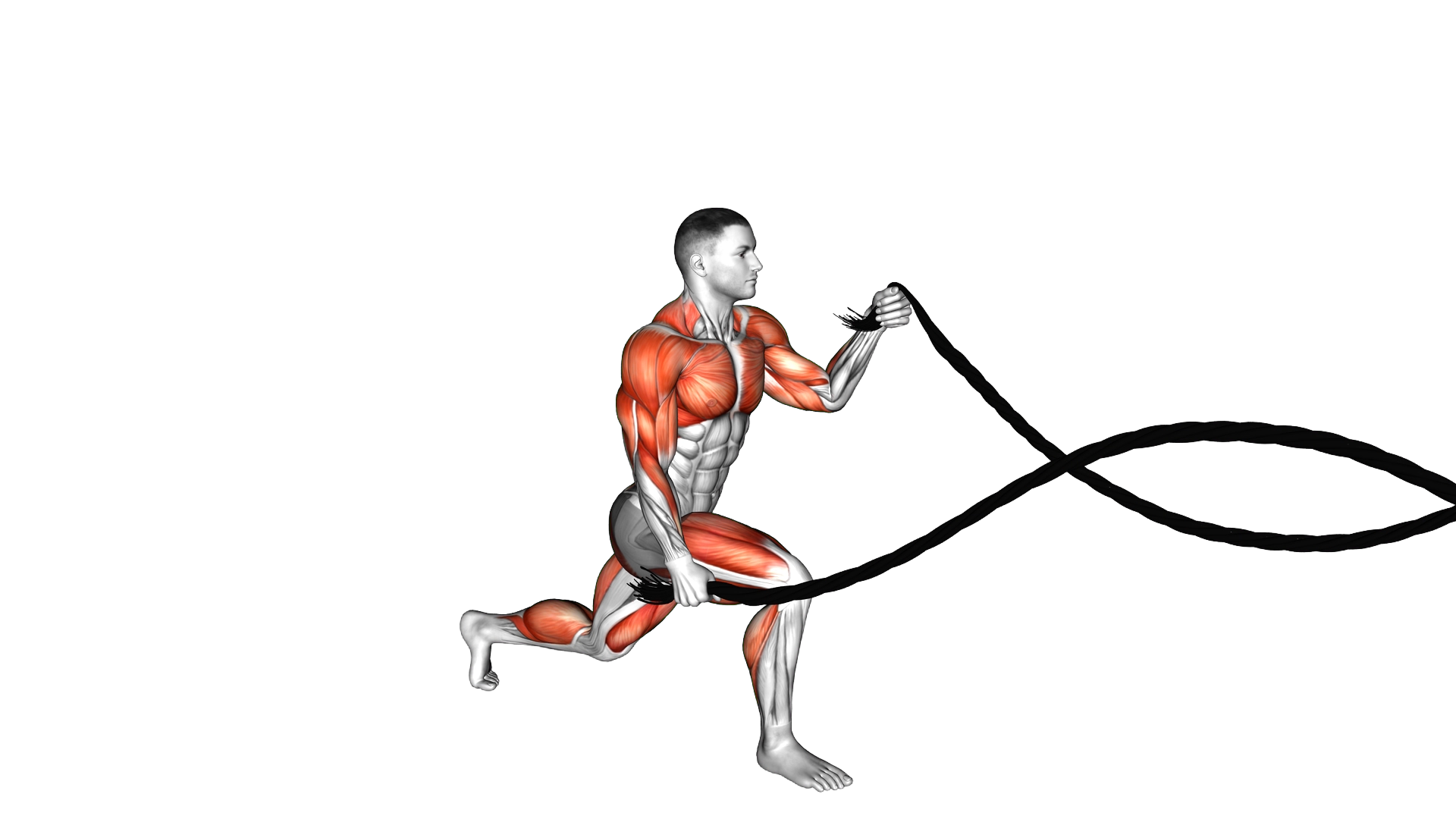 Battling Ropes Split Jump exercise demonstration