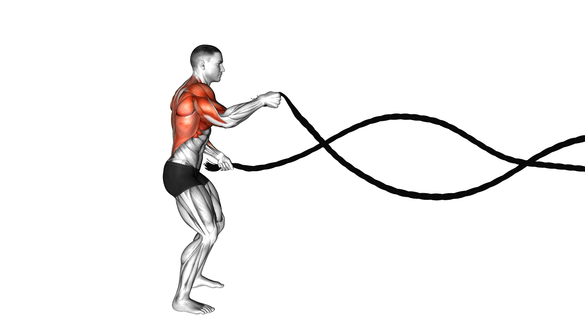 Battling Ropes High Waves exercise demonstration