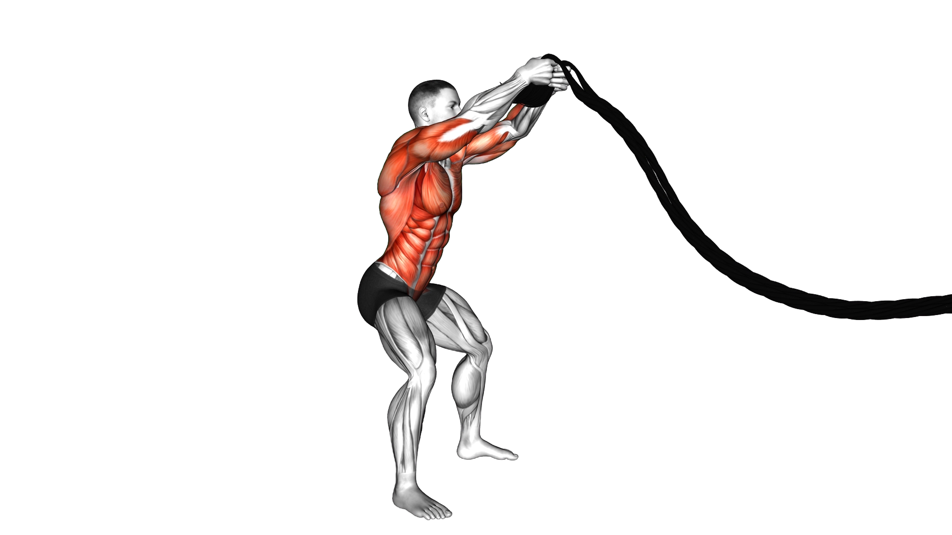 Battling Ropes Power Slam exercise demonstration