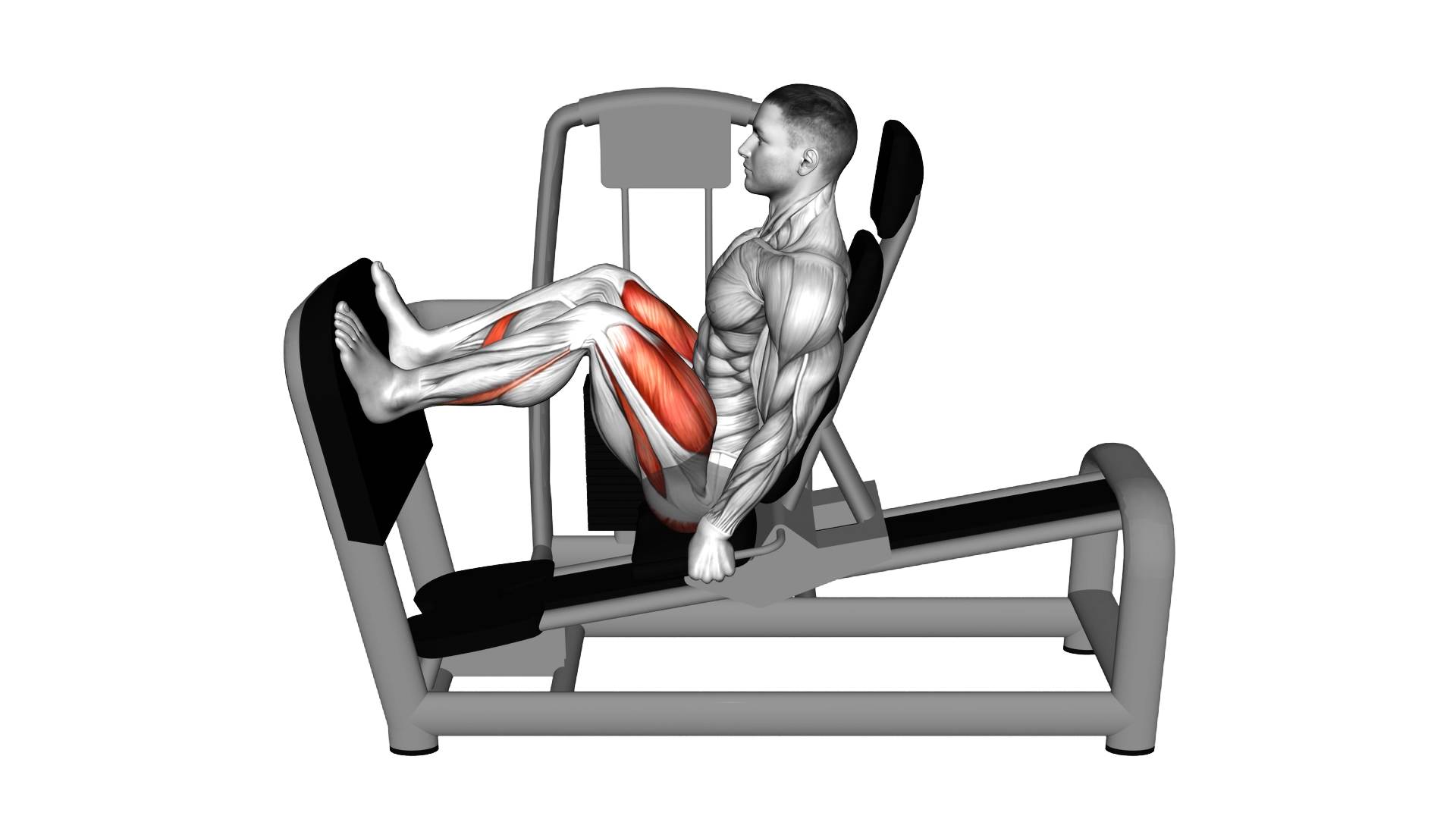 Lever Seated Leg Press exercise demonstration