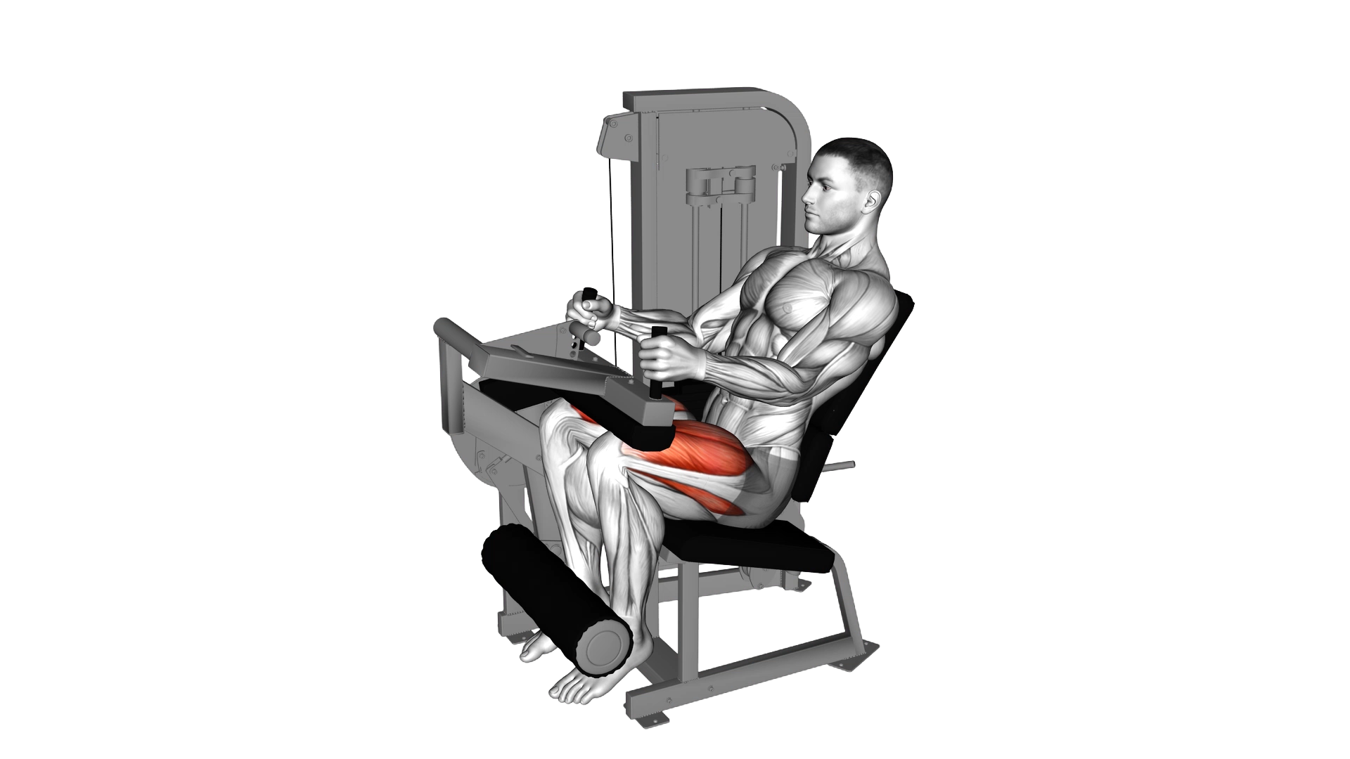 Lever Seated Leg Extension exercise demonstration