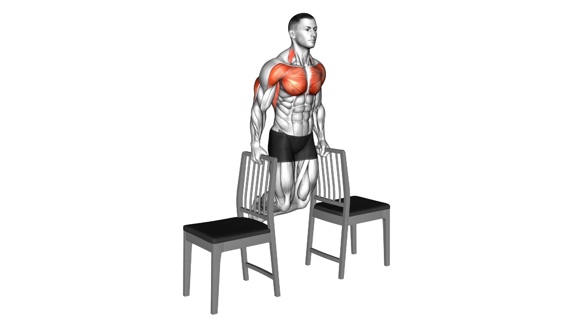 Dips between Chairs exercise demonstration