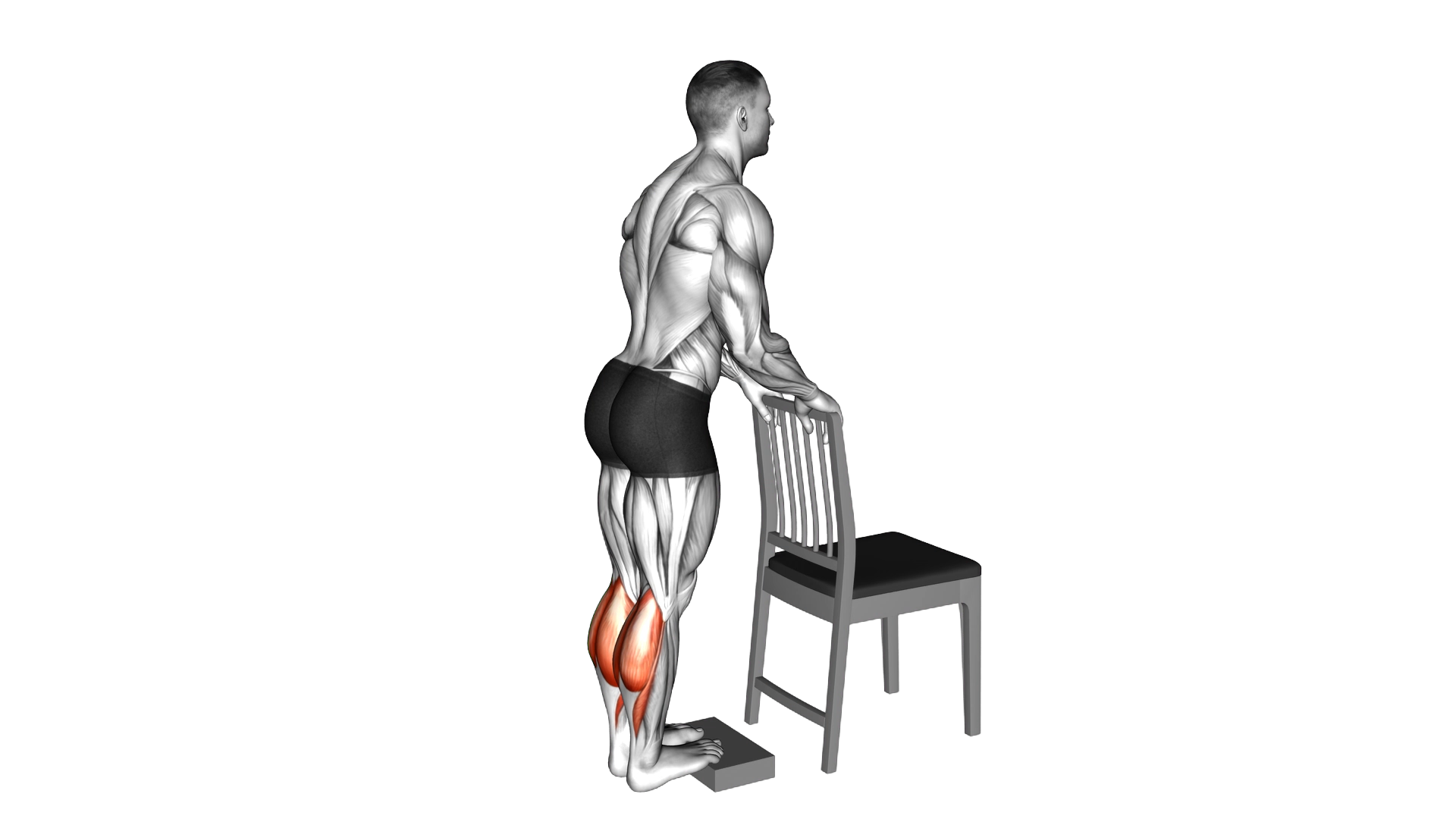 Calf Raise from Deficit with Chair Supported exercise demonstration