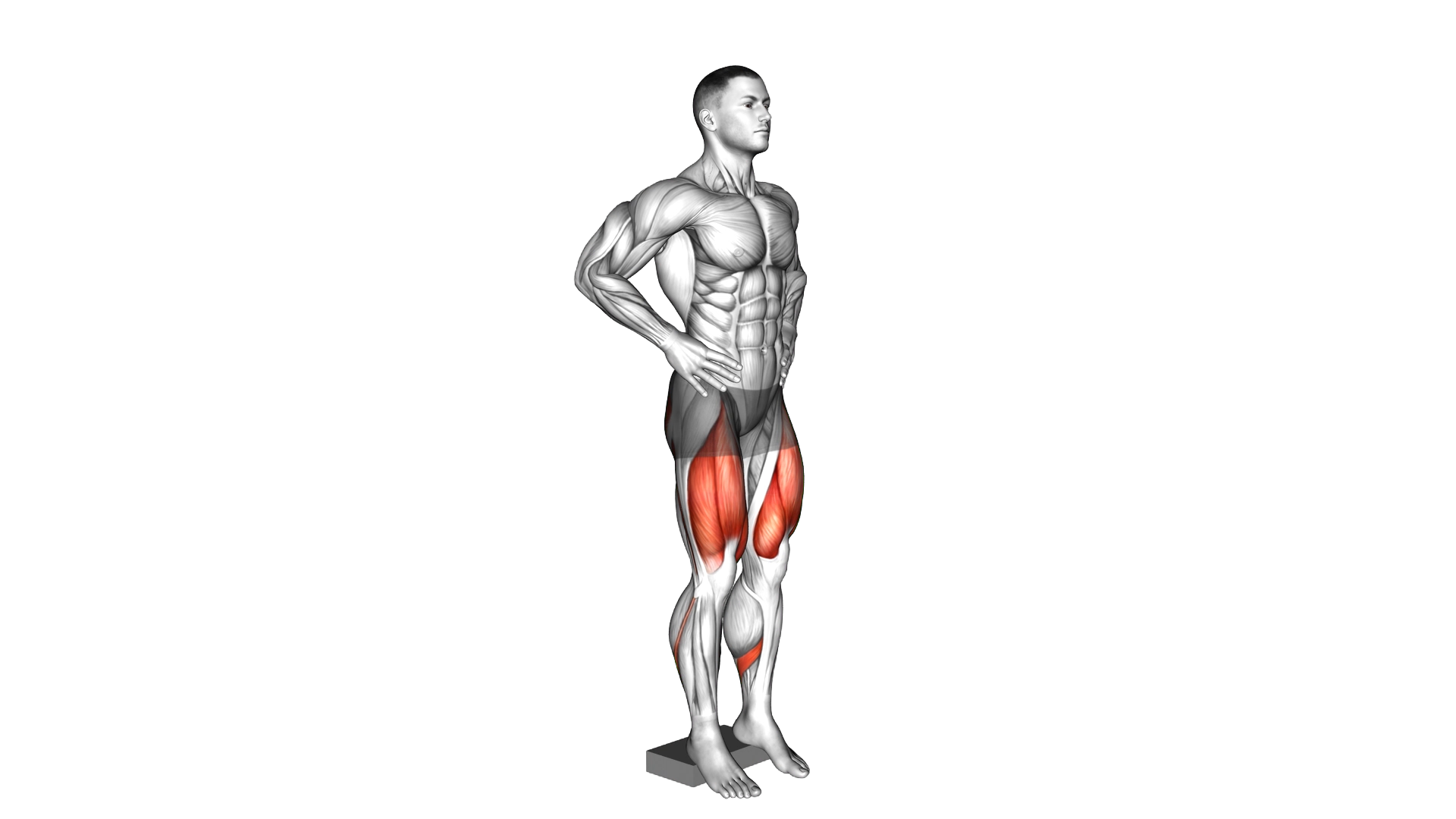 Narrow Squat from Deficit exercise demonstration