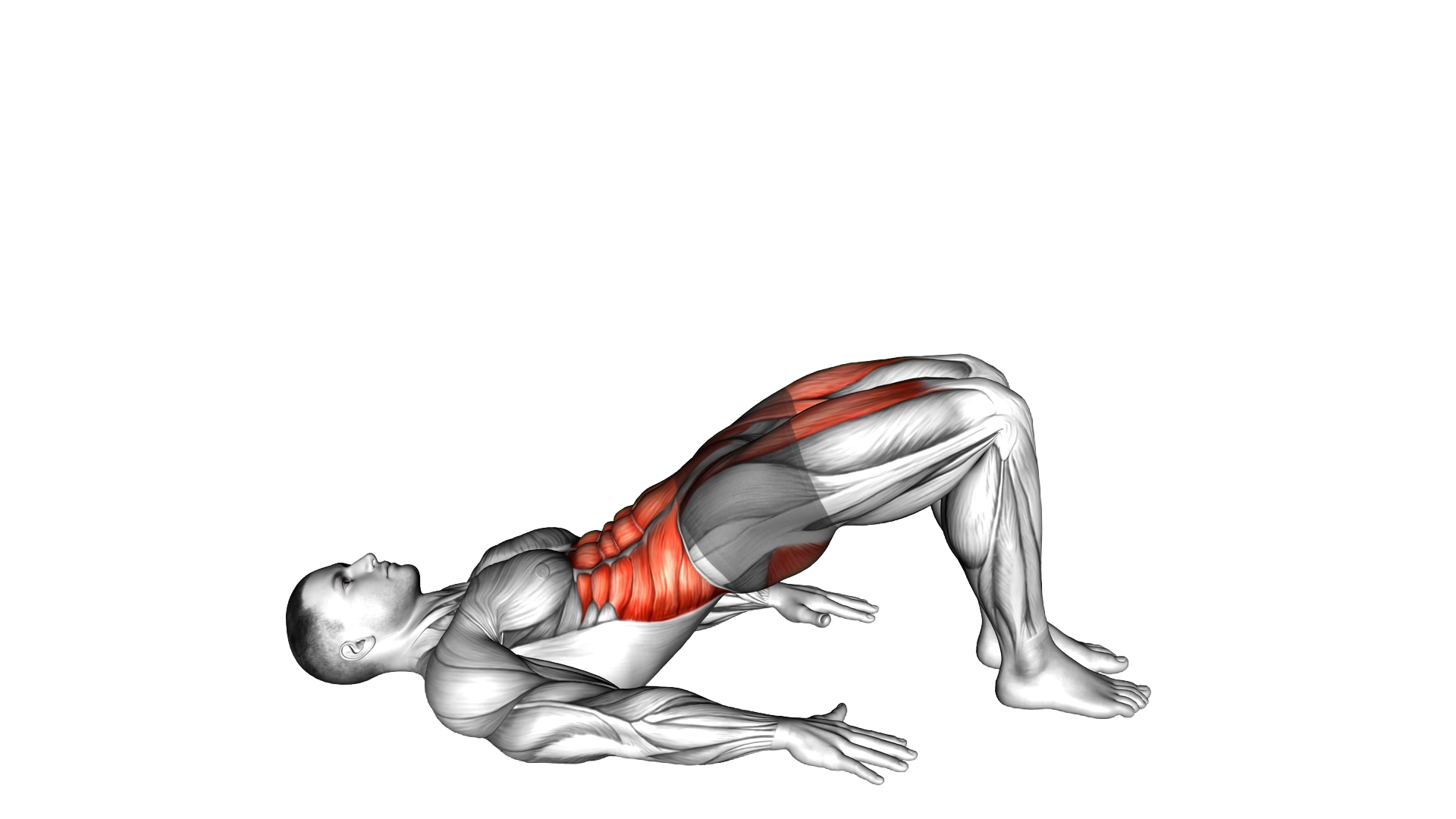 Glute March exercise demonstration