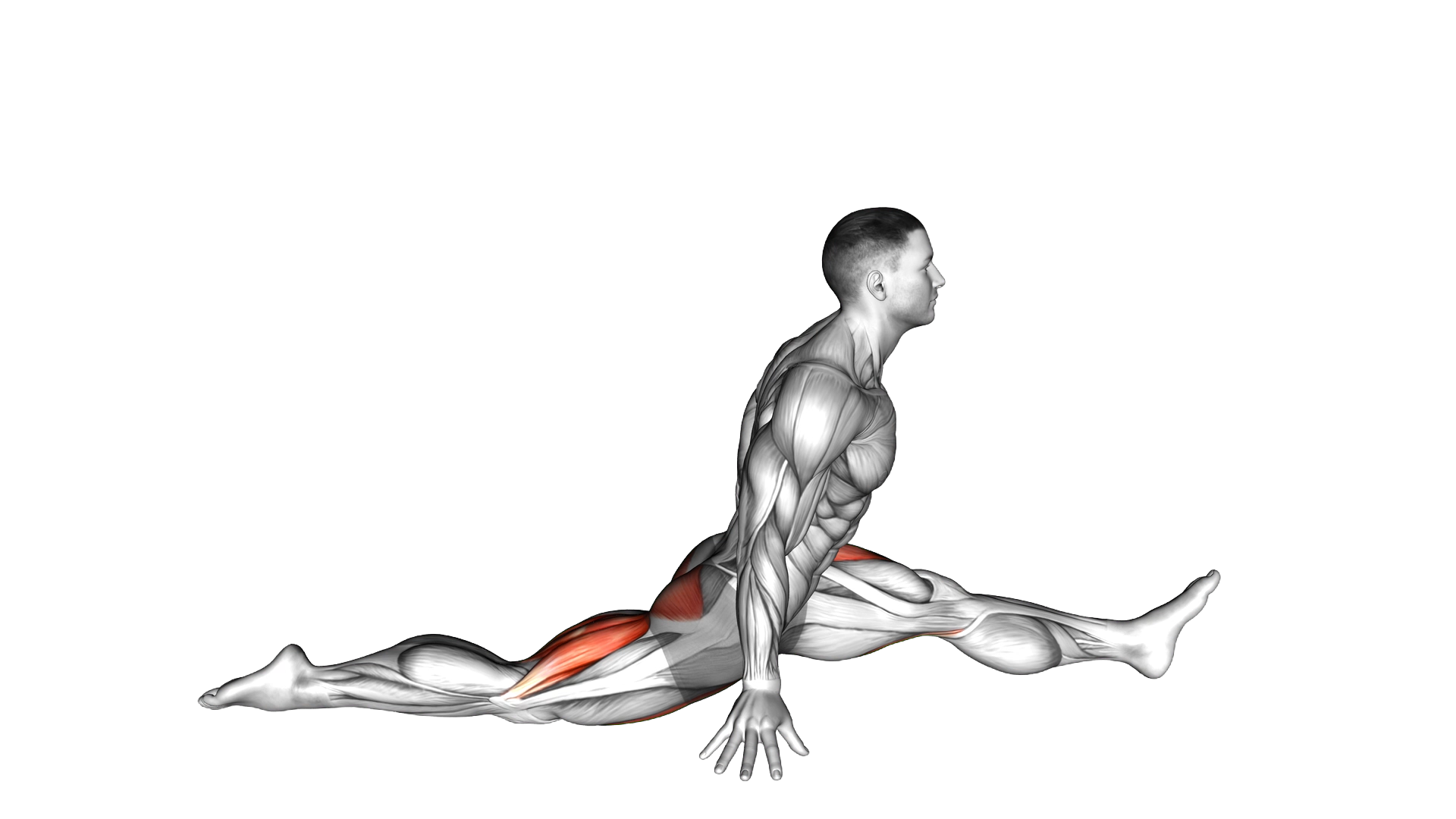 Flexion And Extension Hip Stretch exercise demonstration