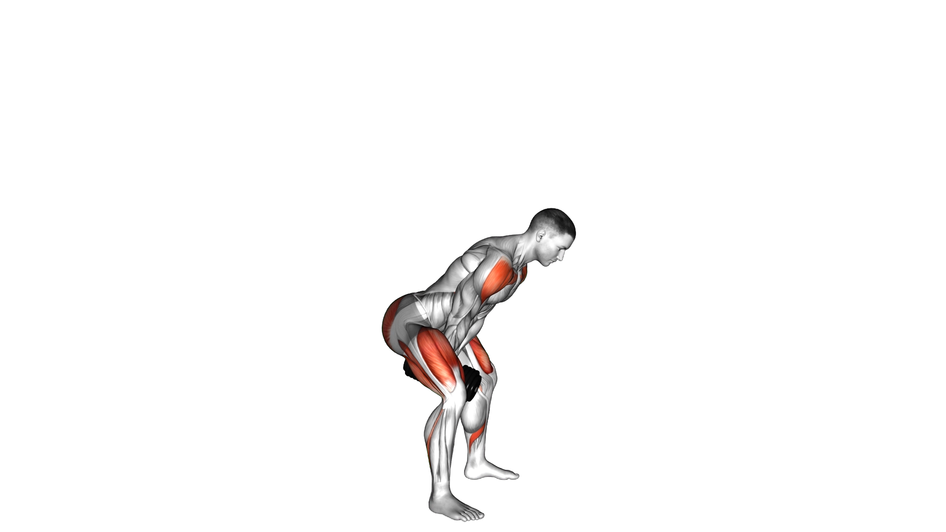 Dumbbell Full Swing exercise demonstration