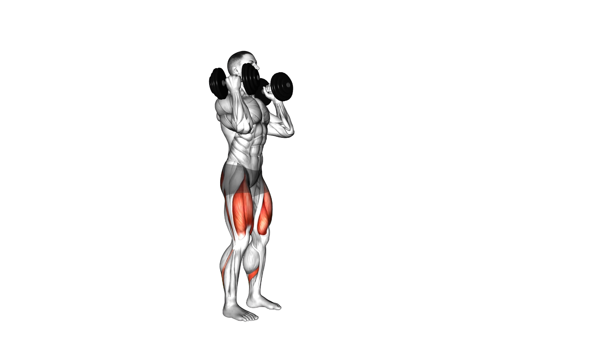 Dumbbell Front Rack Lunge exercise demonstration