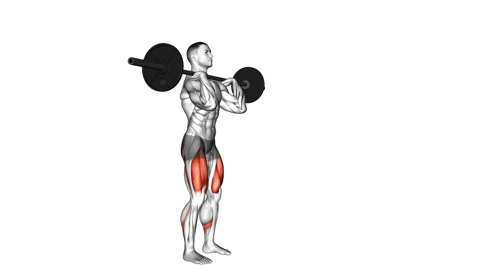 Barbell Front Rack Lunge exercise demonstration