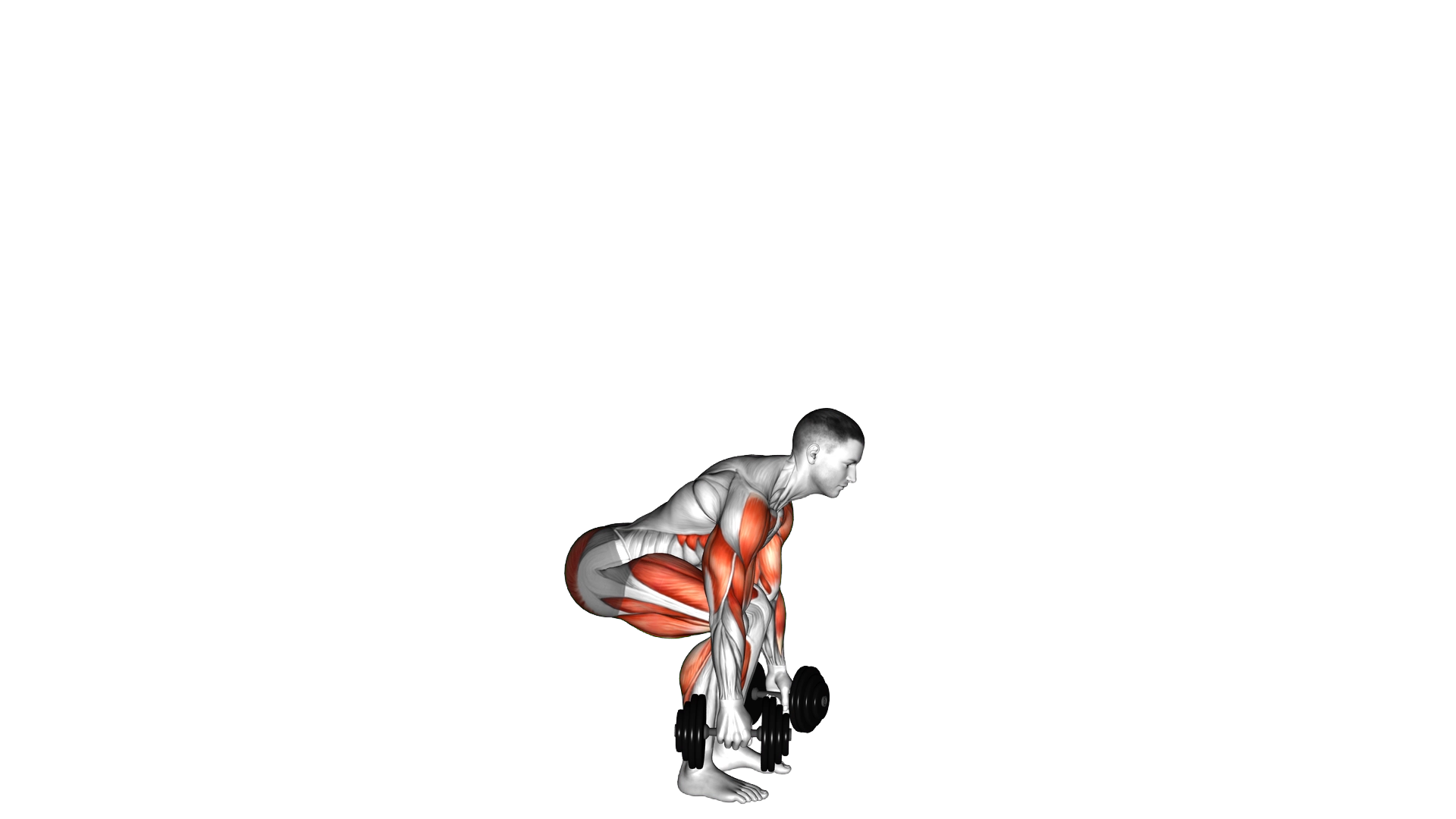 Dumbbell Clean and Press exercise demonstration