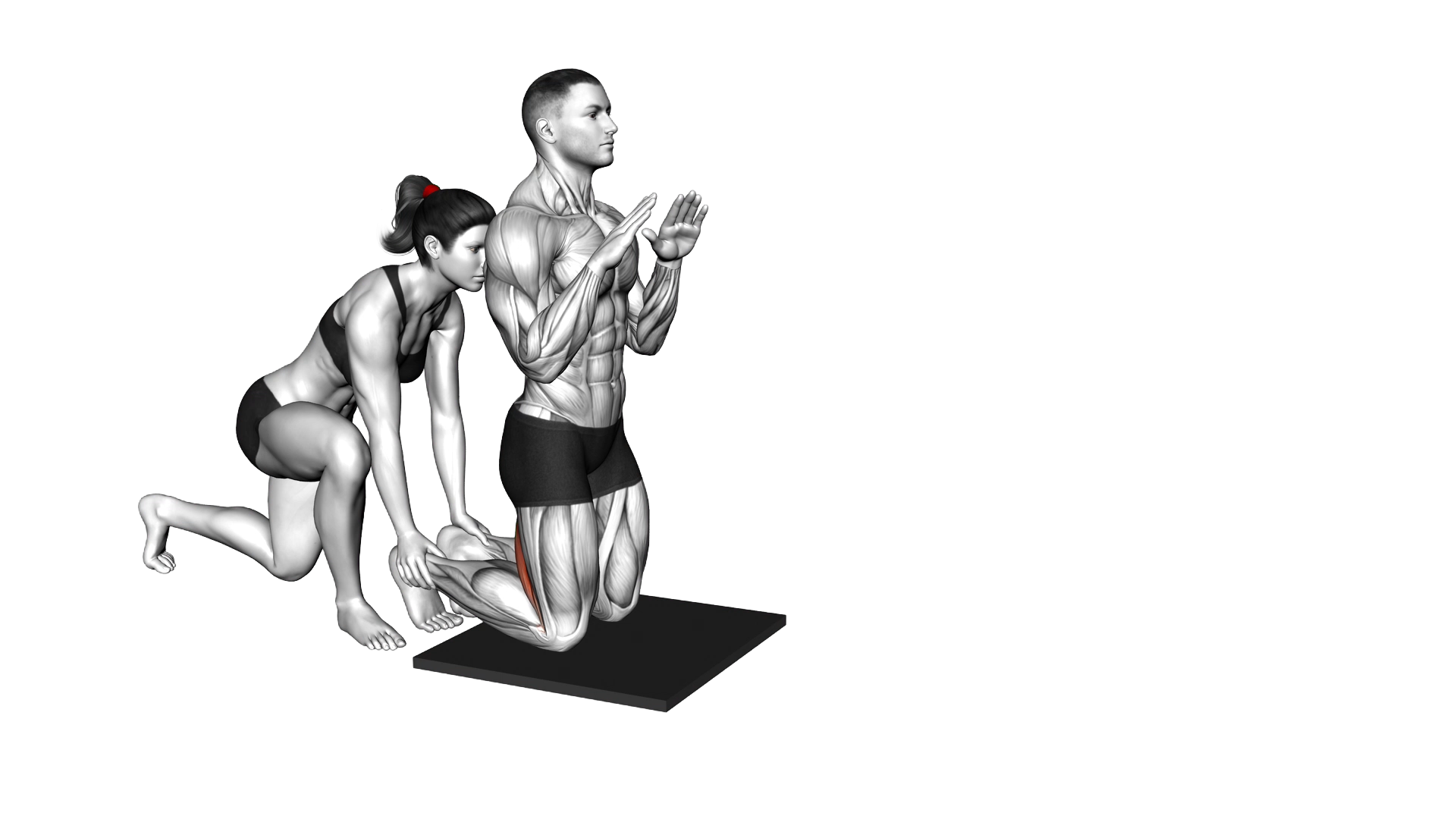 Assisted Inverse Leg Curl exercise demonstration