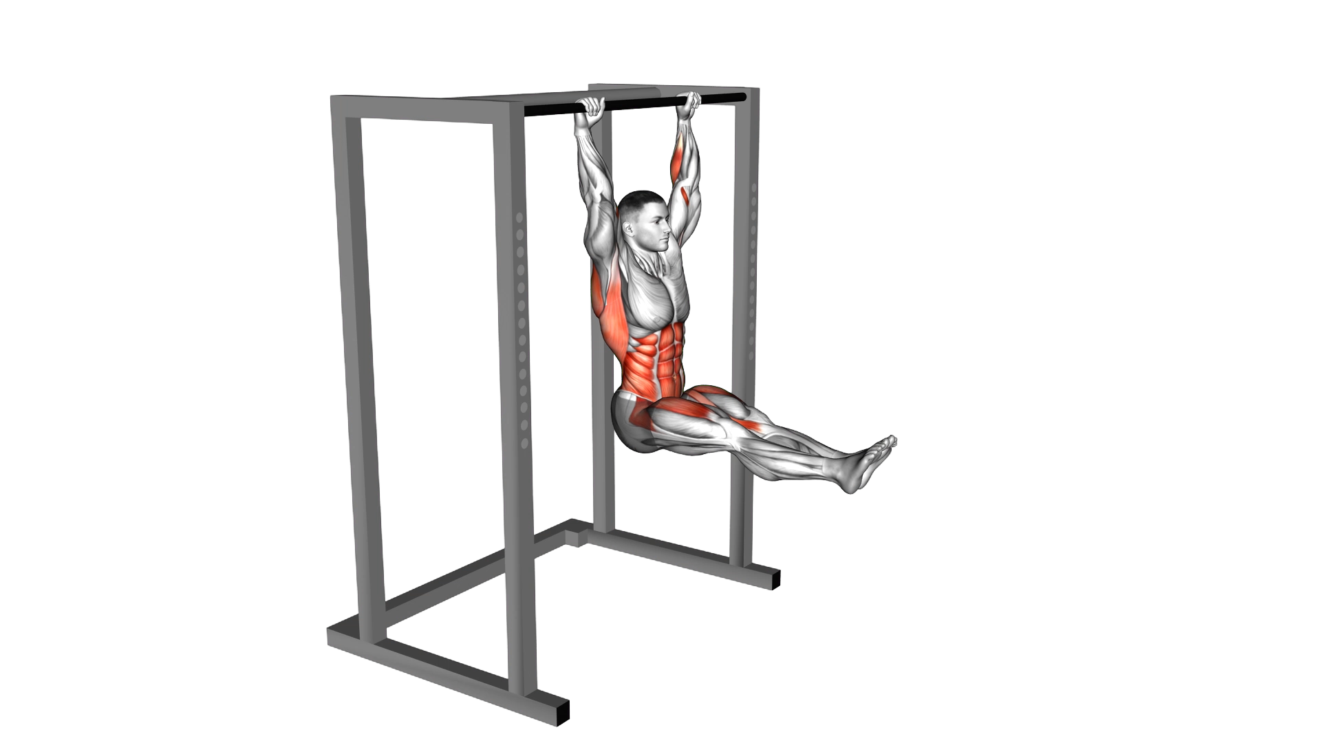 L Pull Up exercise demonstration