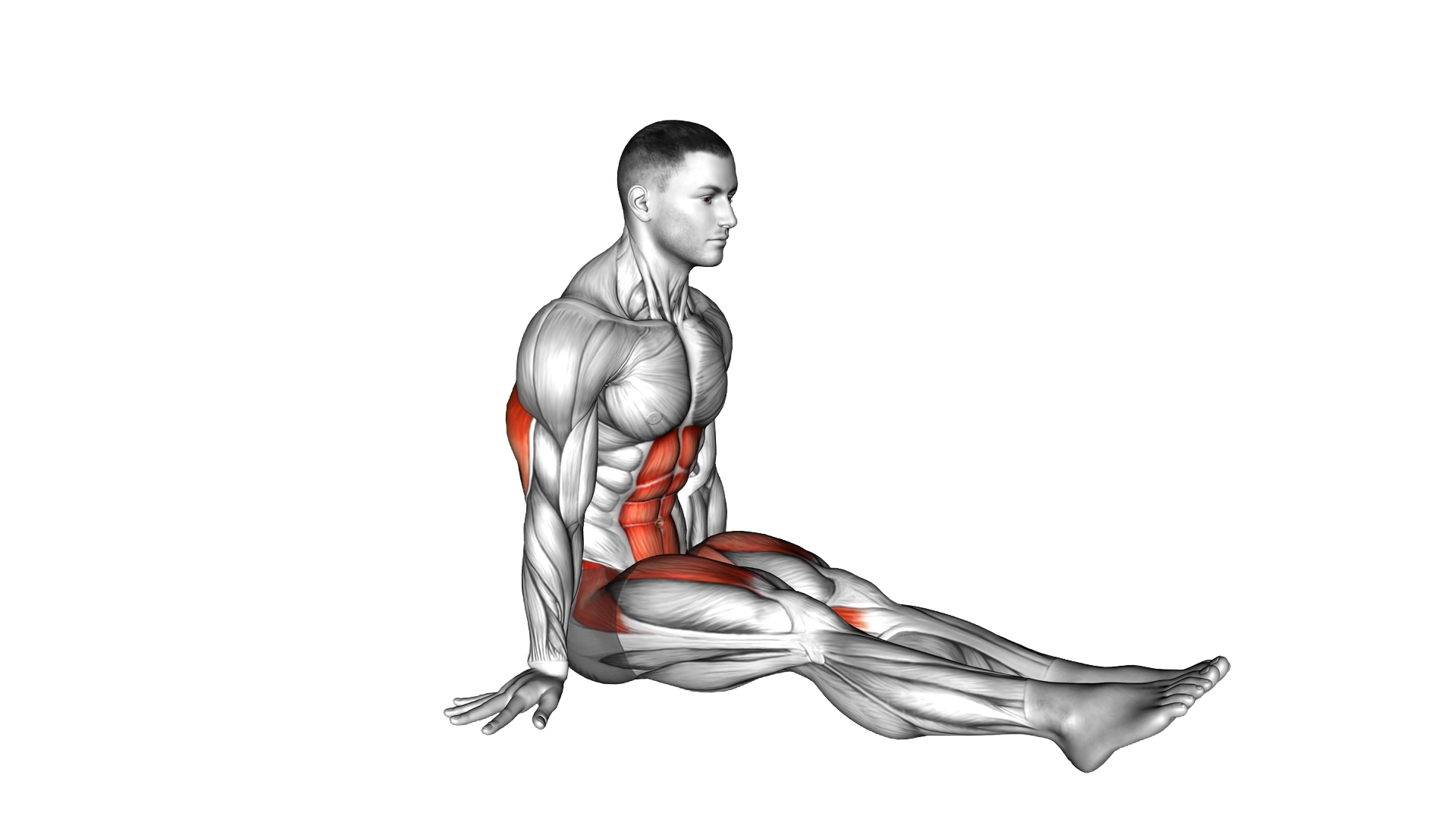 L Sit on Floor exercise demonstration