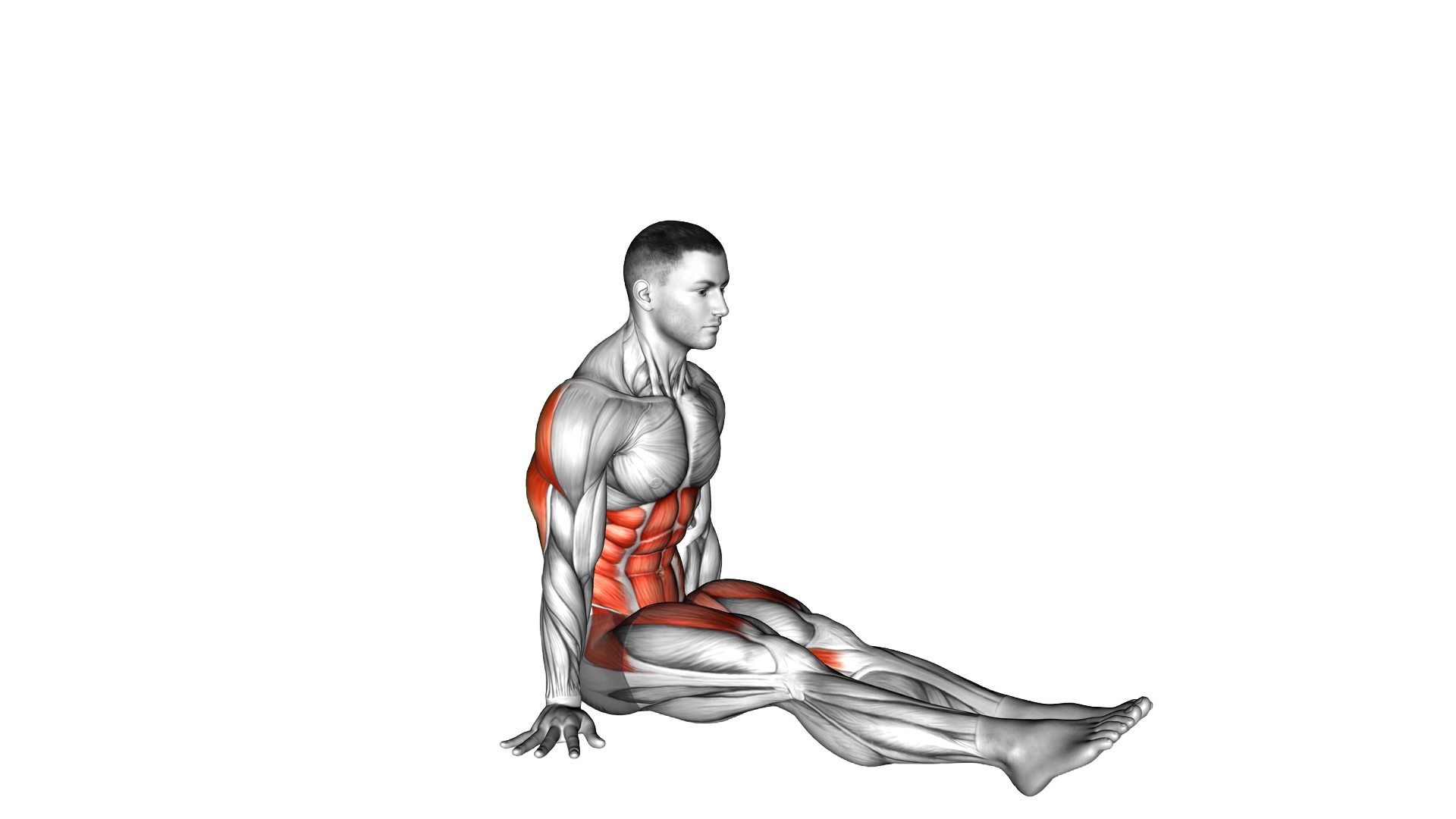 V Sit on Floor exercise demonstration