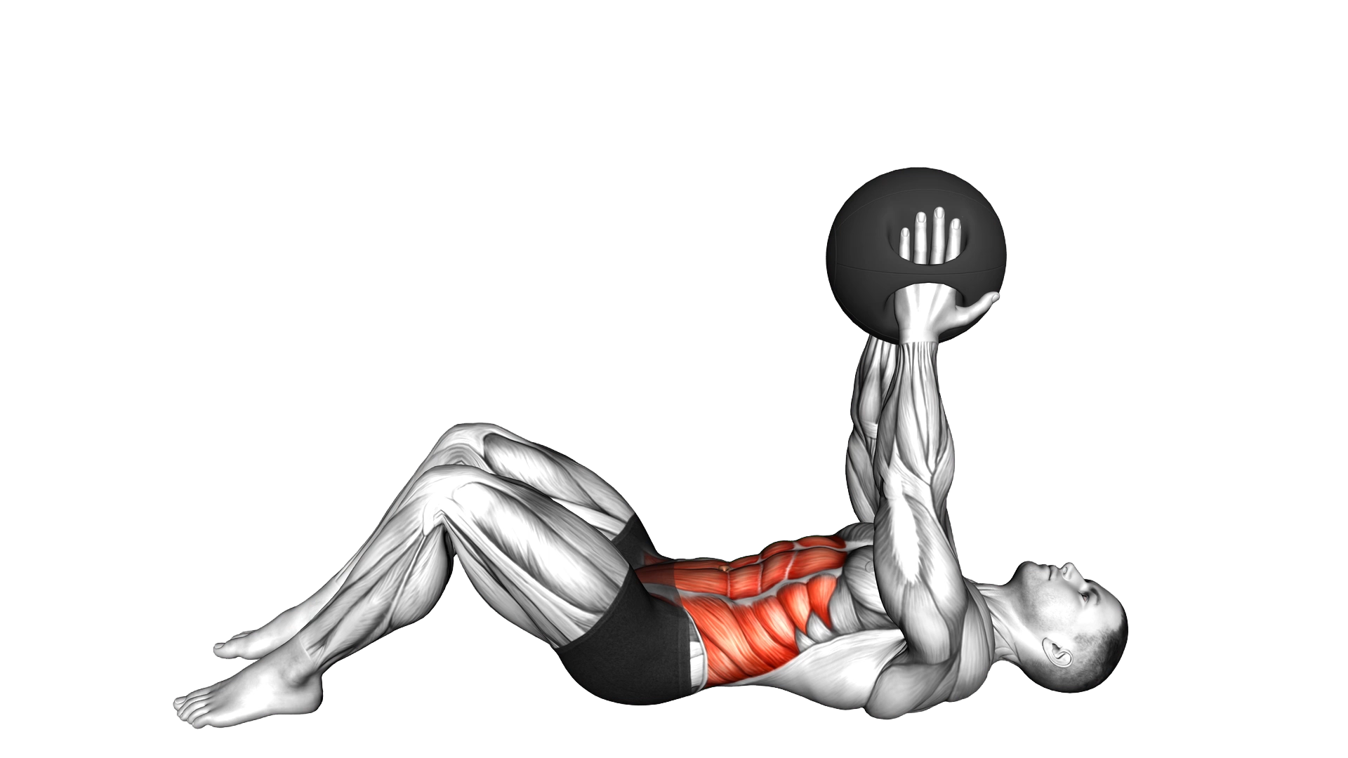 Crunch with Medicine Ball exercise demonstration