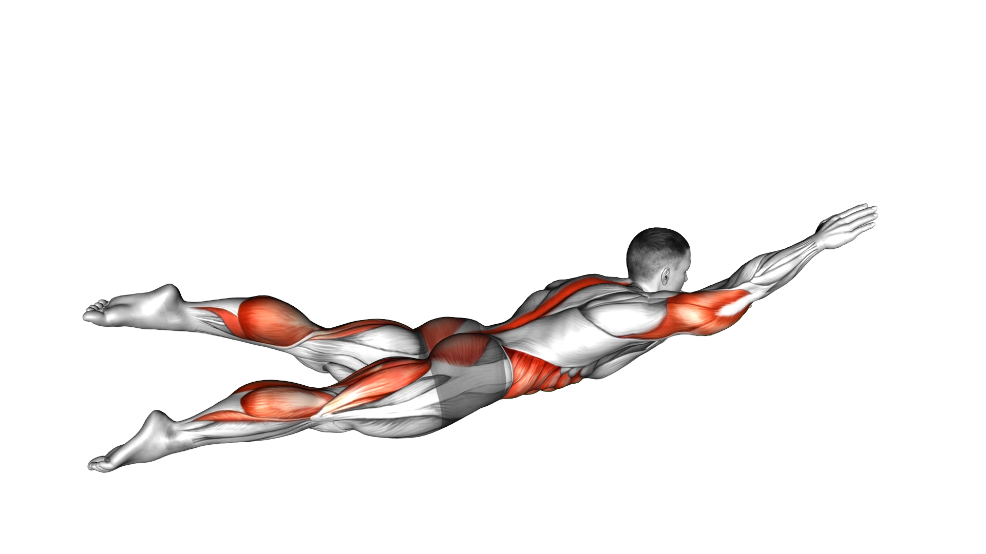 Swimmer Kicks exercise demonstration