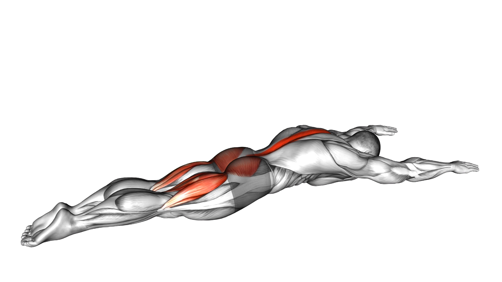 Superman exercise demonstration