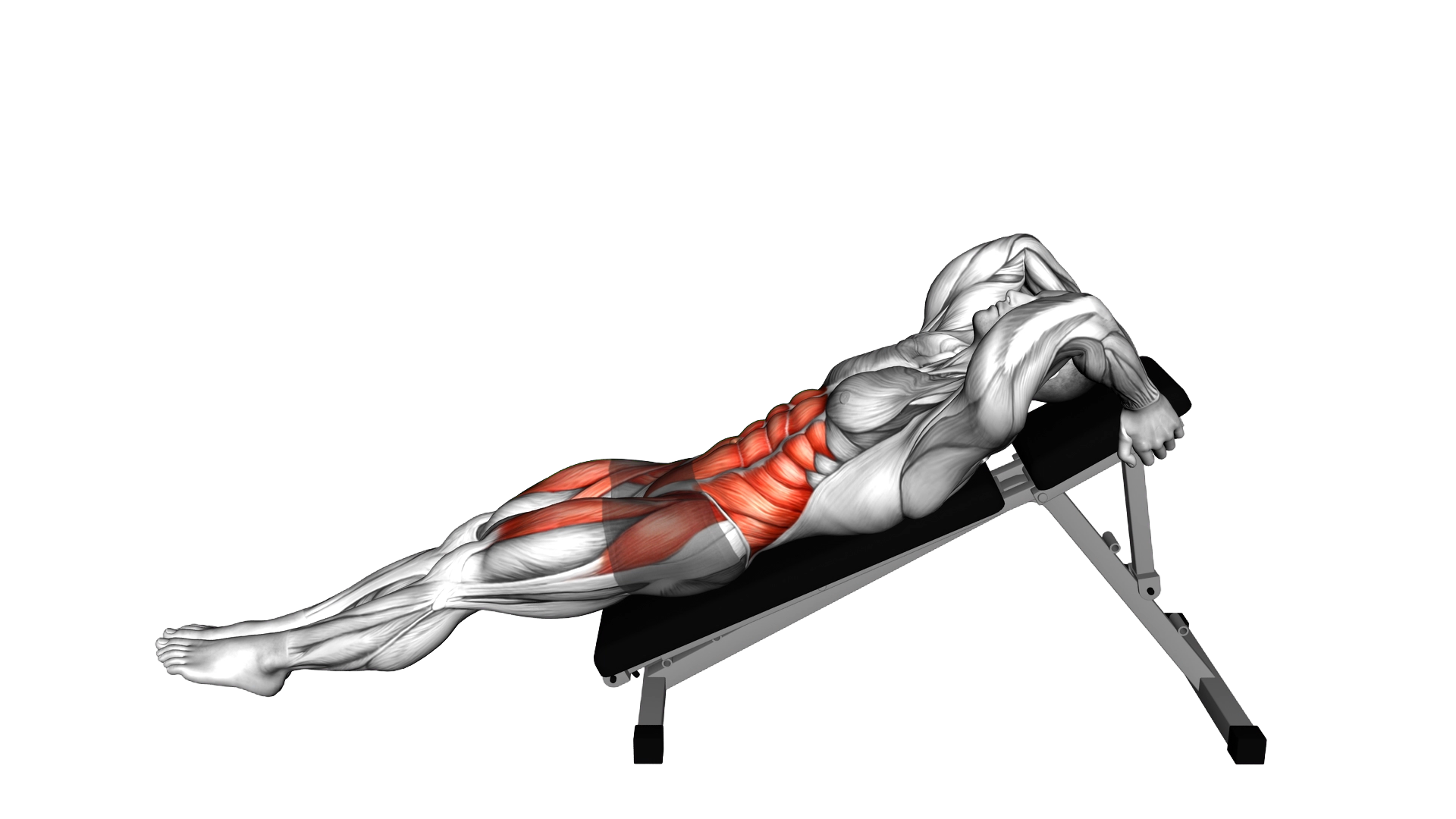 Decline Leg Hip Raise exercise demonstration