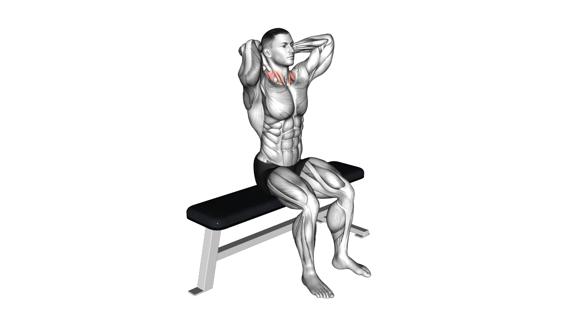Seated Flexion And Extension Neck exercise demonstration