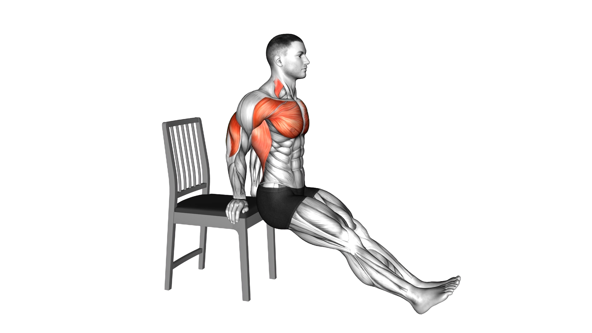 Dip on Floor with Chair exercise demonstration