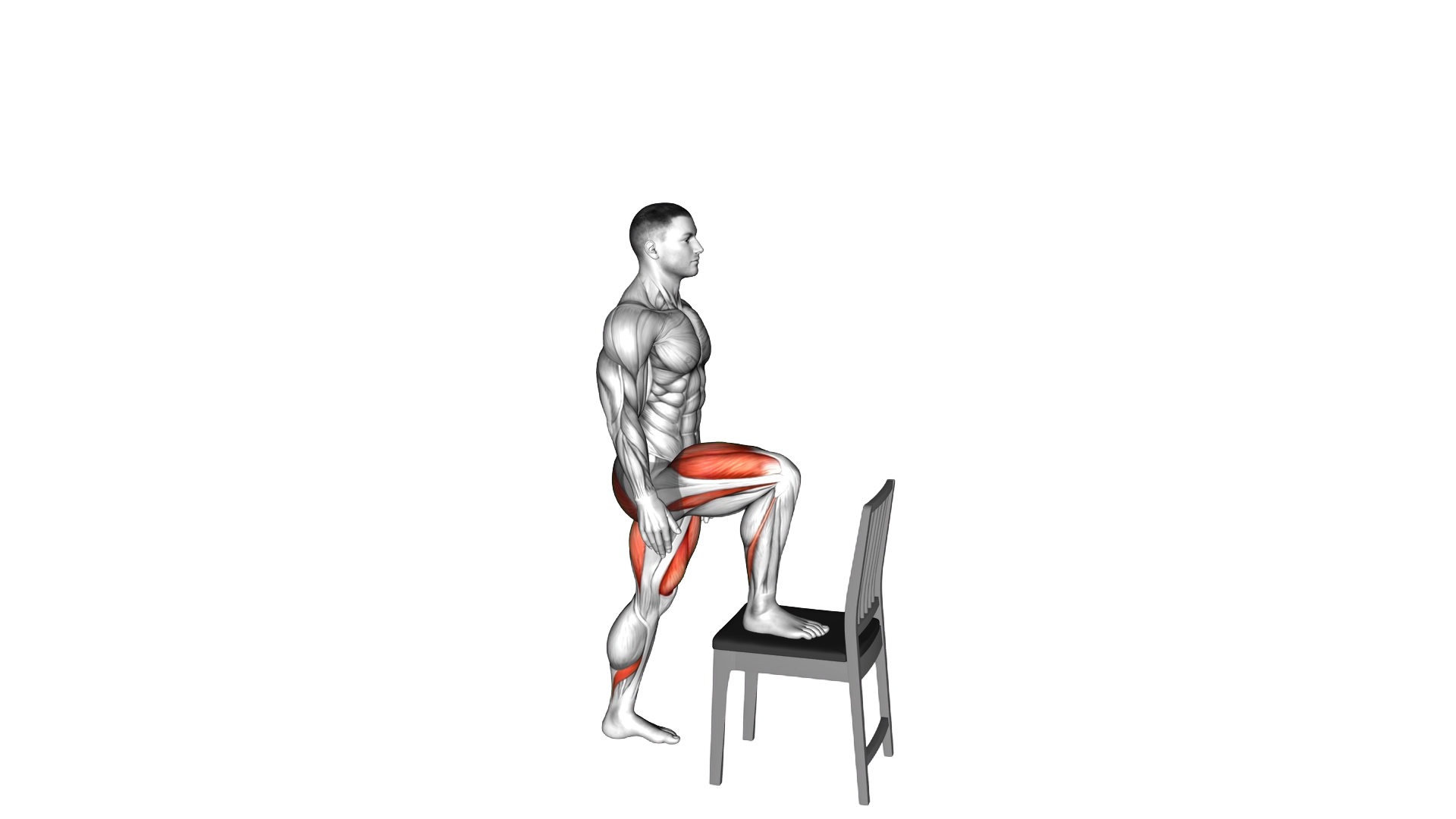Step up on Chair exercise demonstration